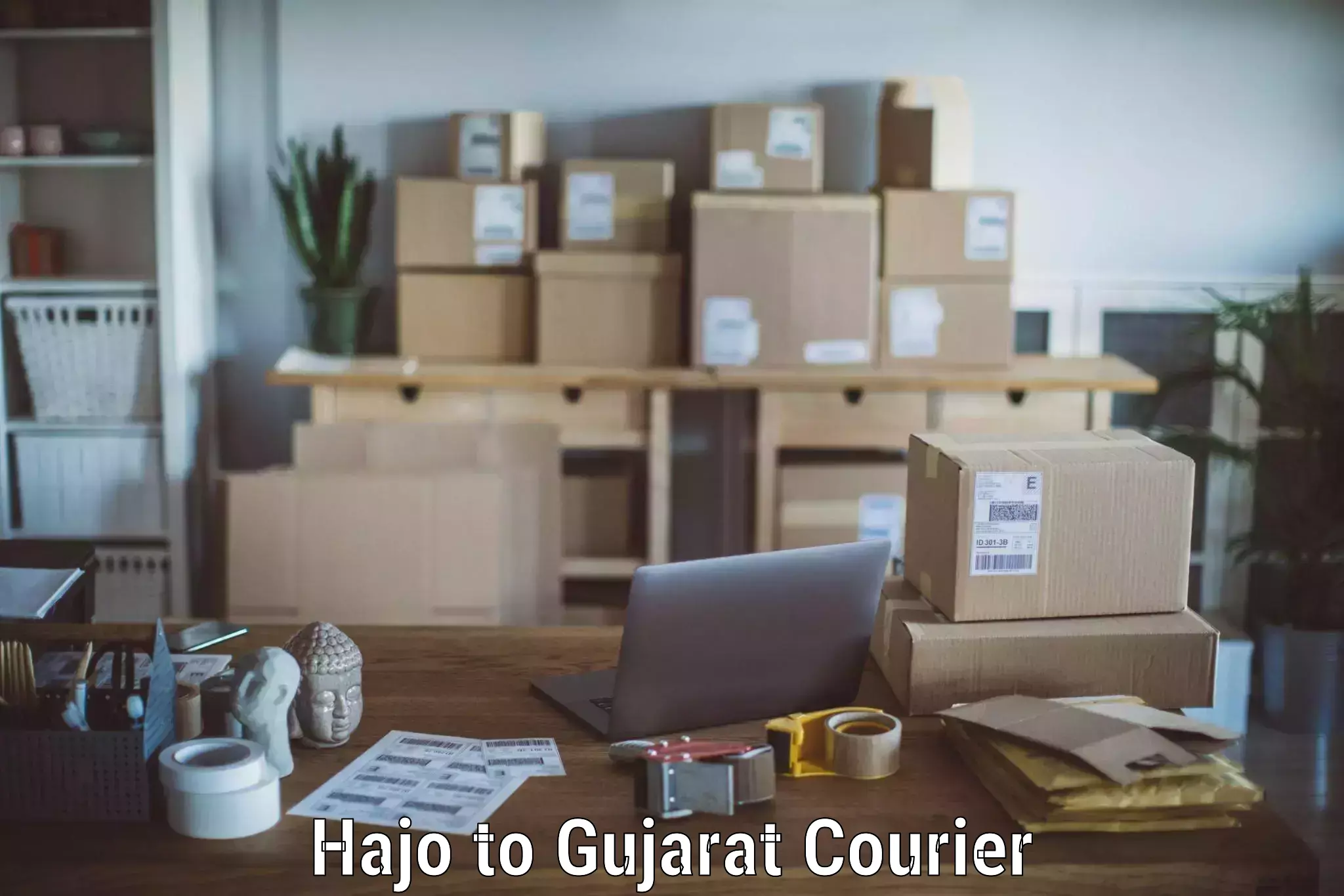 Moving and storage services Hajo to Patan Gujarat