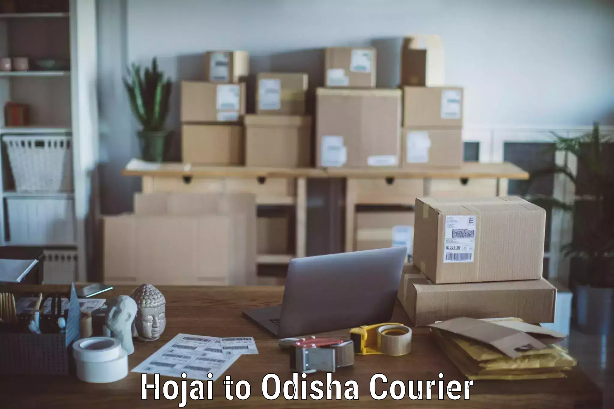 Home relocation solutions Hojai to Brajrajnagar