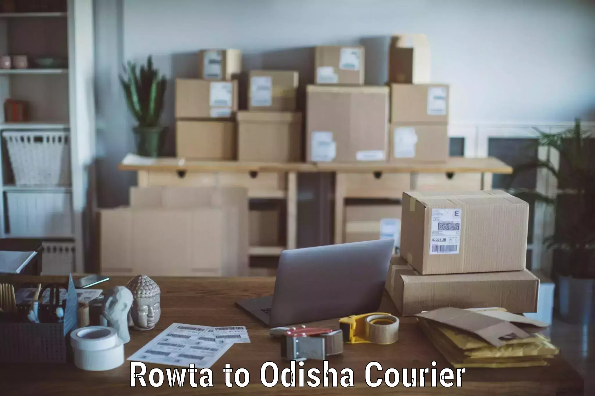 Household moving and storage Rowta to Brajrajnagar