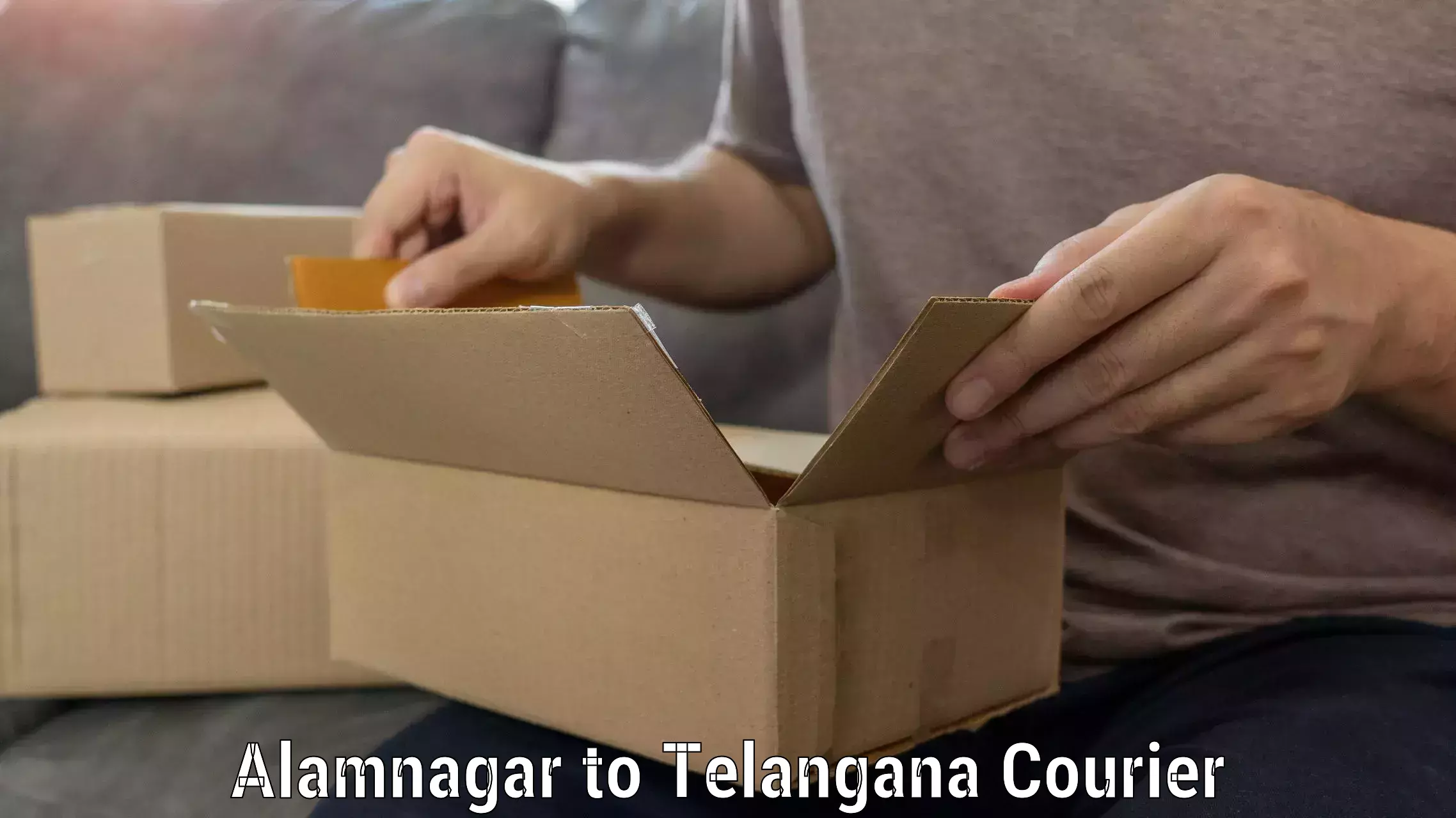 Professional home goods shifting Alamnagar to Netrang