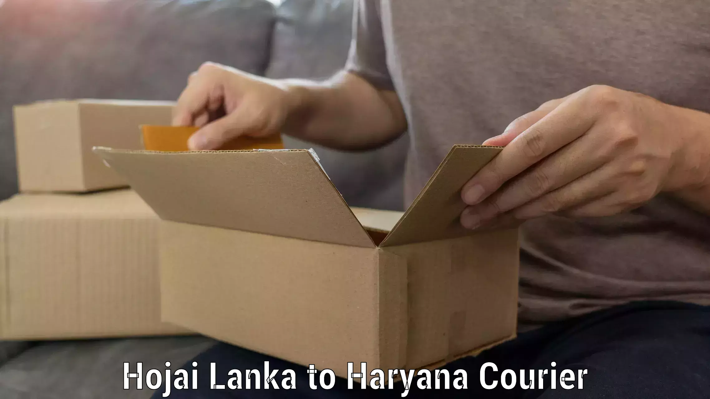 Personalized moving and storage Hojai Lanka to Yamuna Nagar