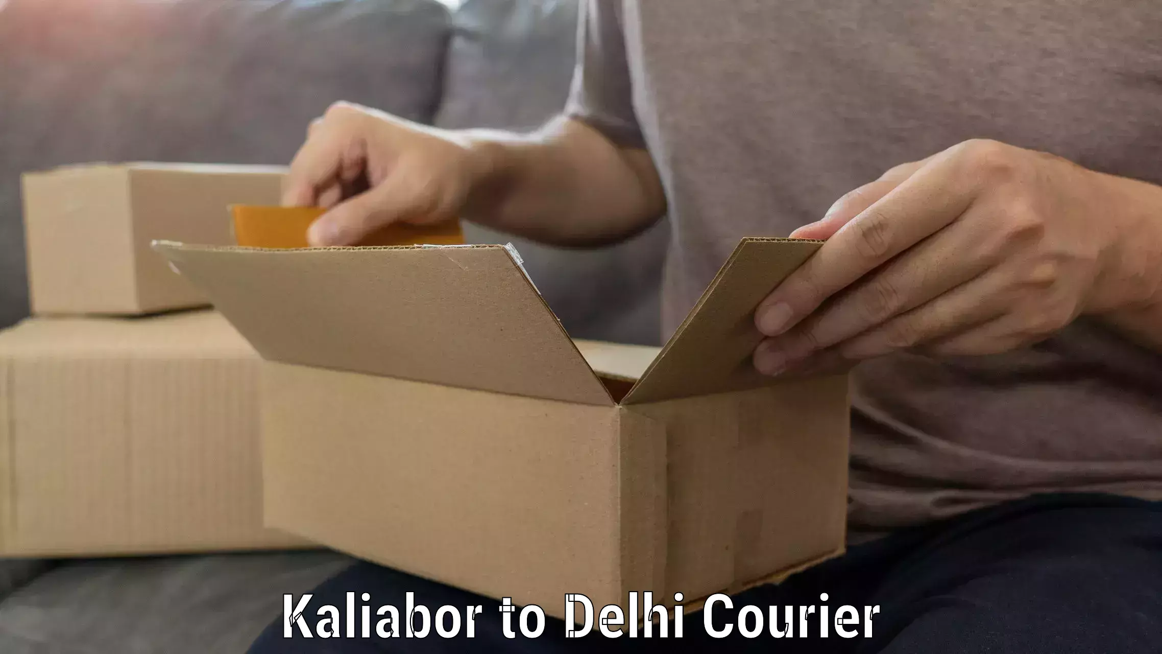 Professional movers and packers Kaliabor to Indraprastha