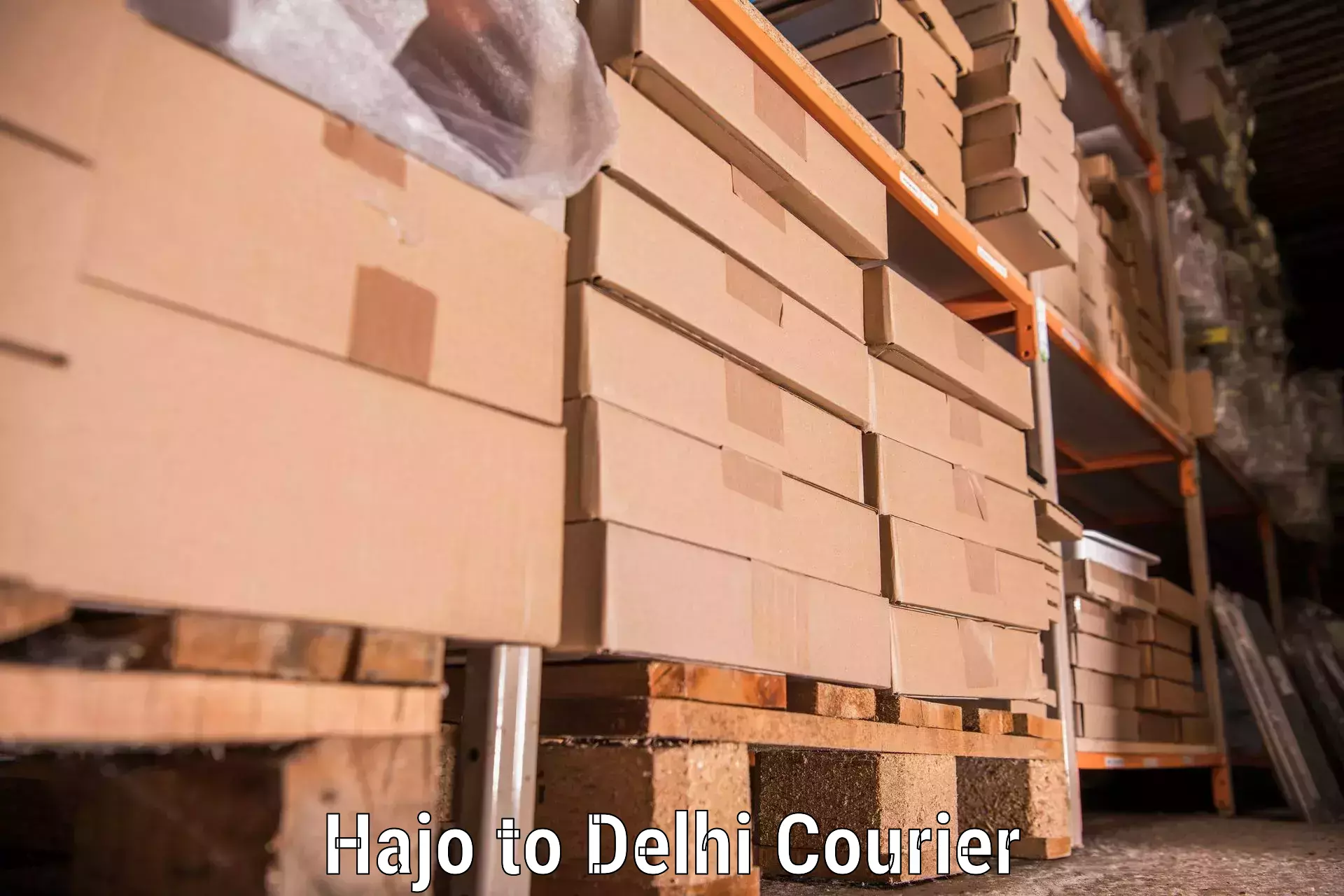 Household goods transport service Hajo to Ashok Vihar