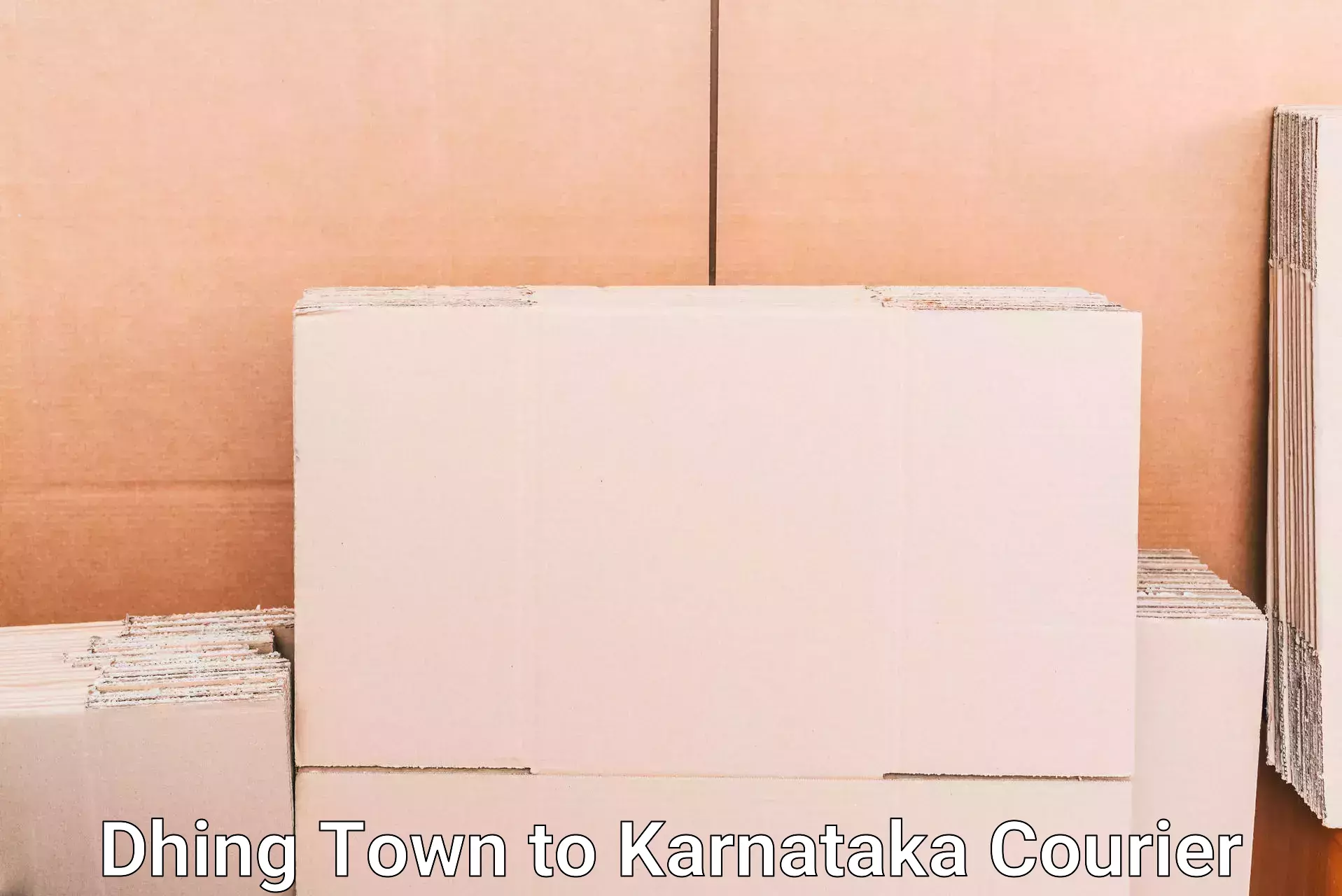 Baggage transport calculator Dhing Town to Karnataka