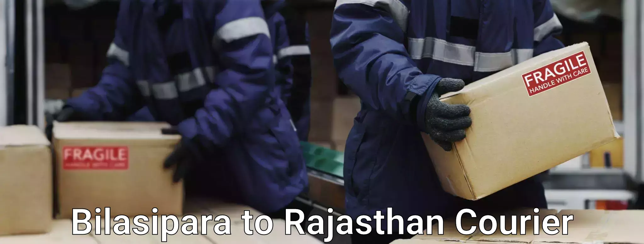 Baggage shipping experience in Bilasipara to Rajsamand