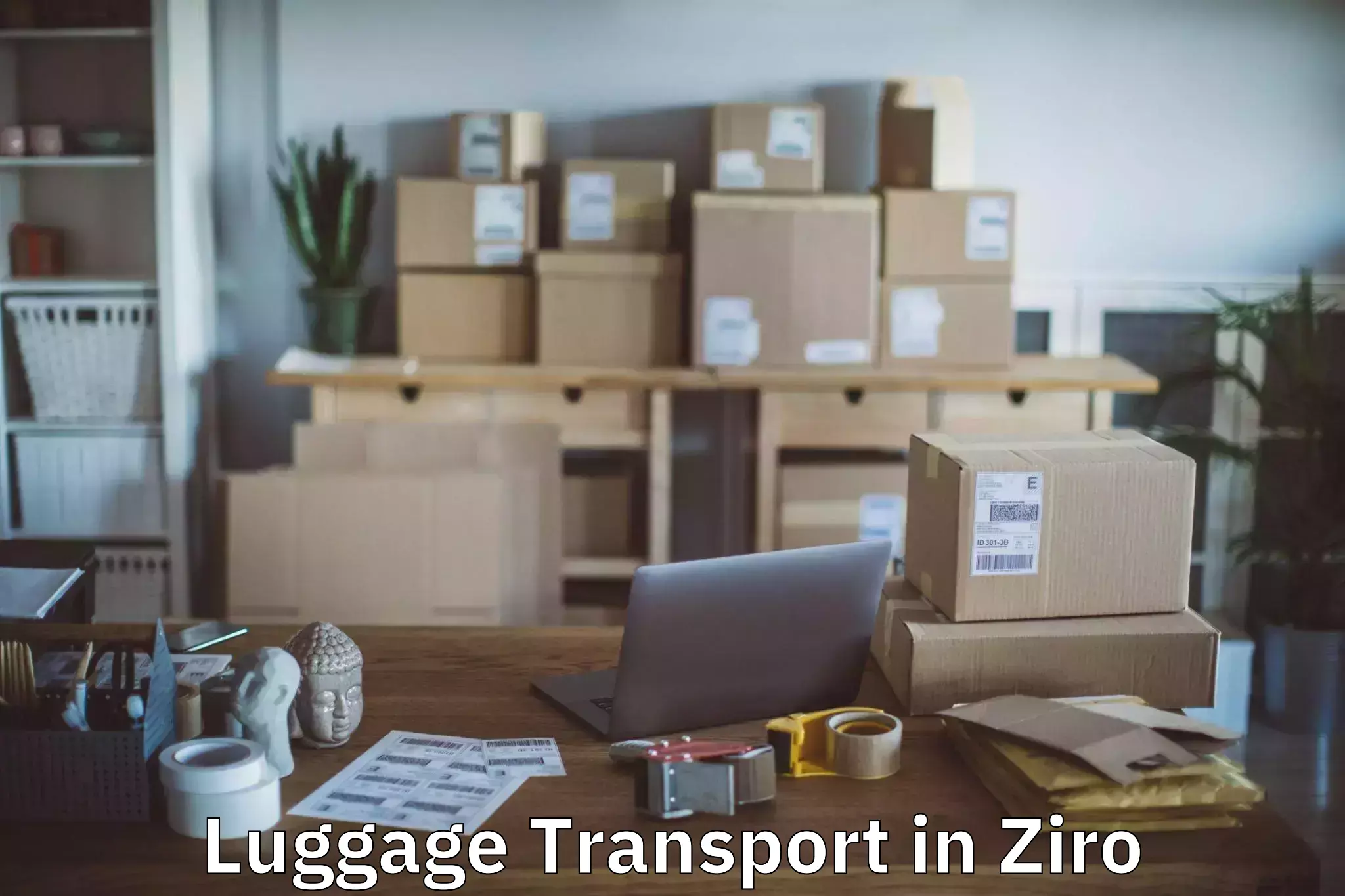 Luggage shipment processing in Ziro
