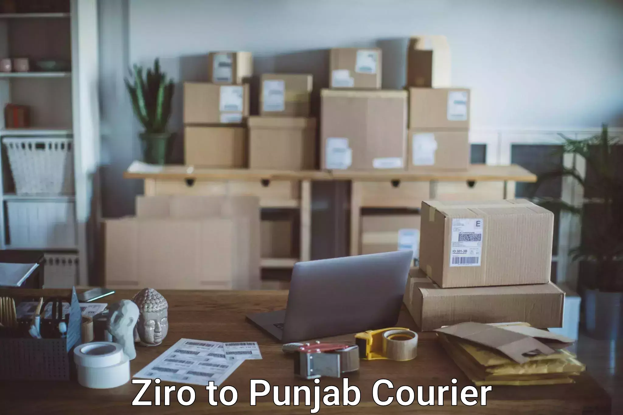 Luggage courier planning Ziro to Zira