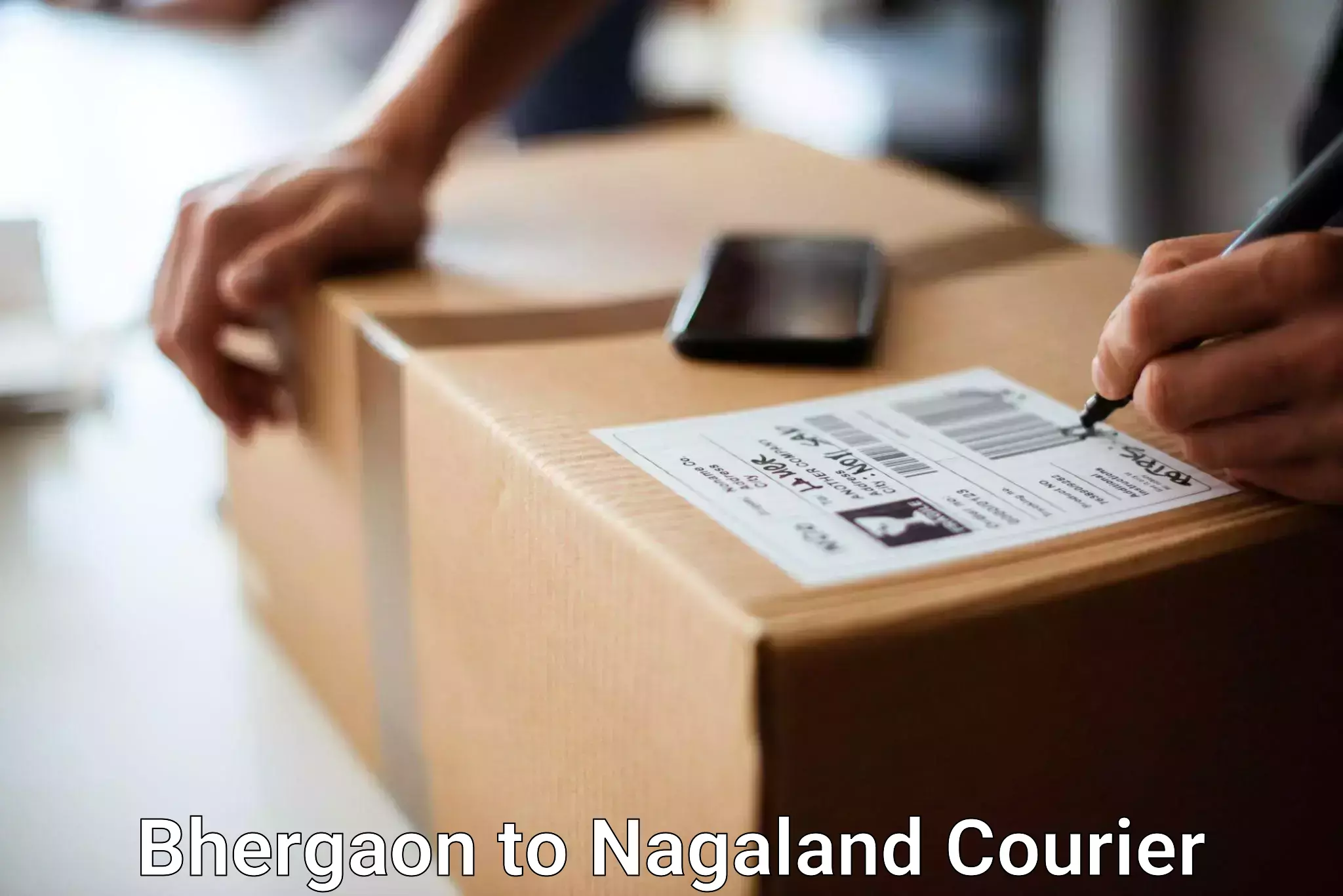 Baggage courier strategy in Bhergaon to Nagaland