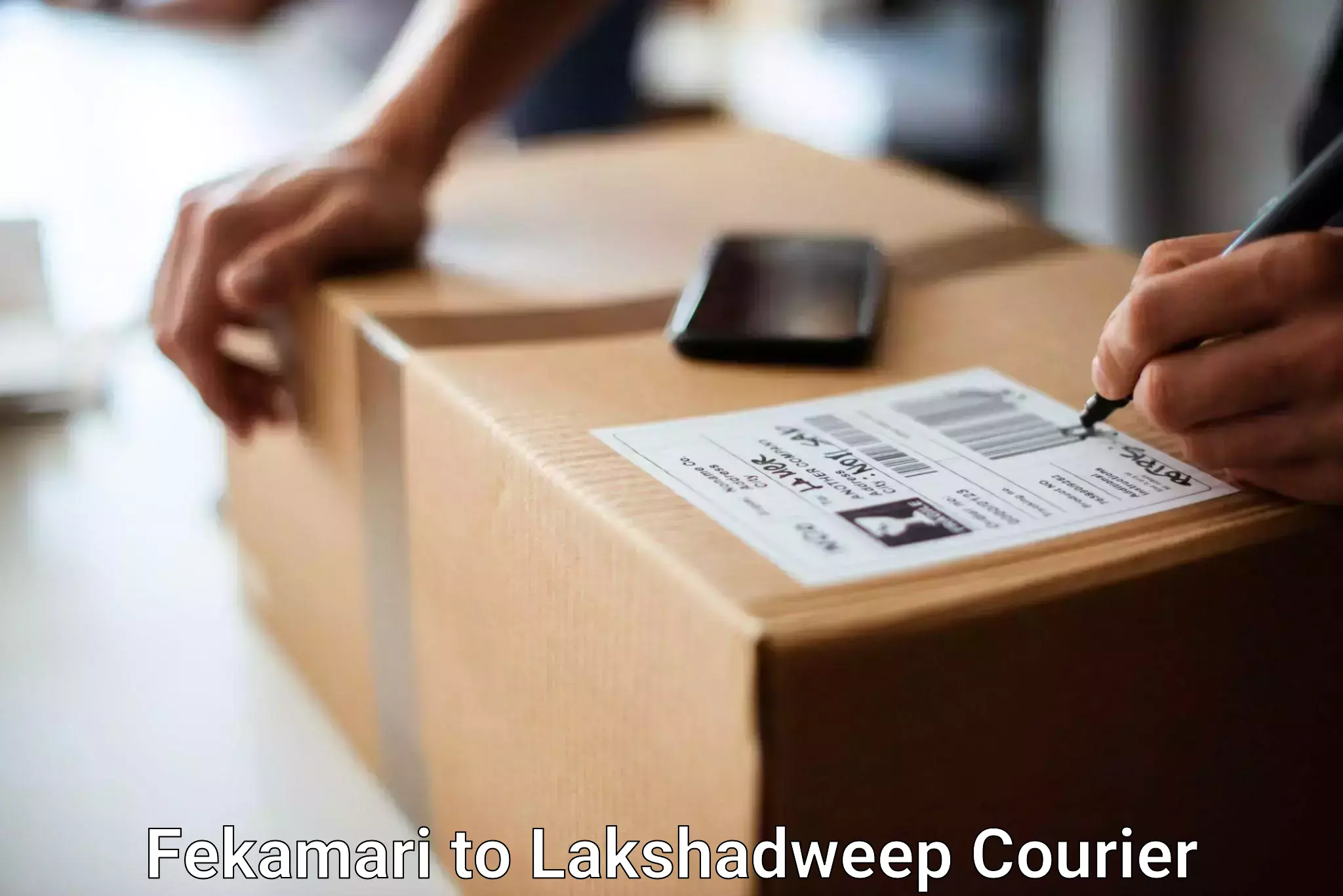 Efficient luggage delivery Fekamari to Lakshadweep