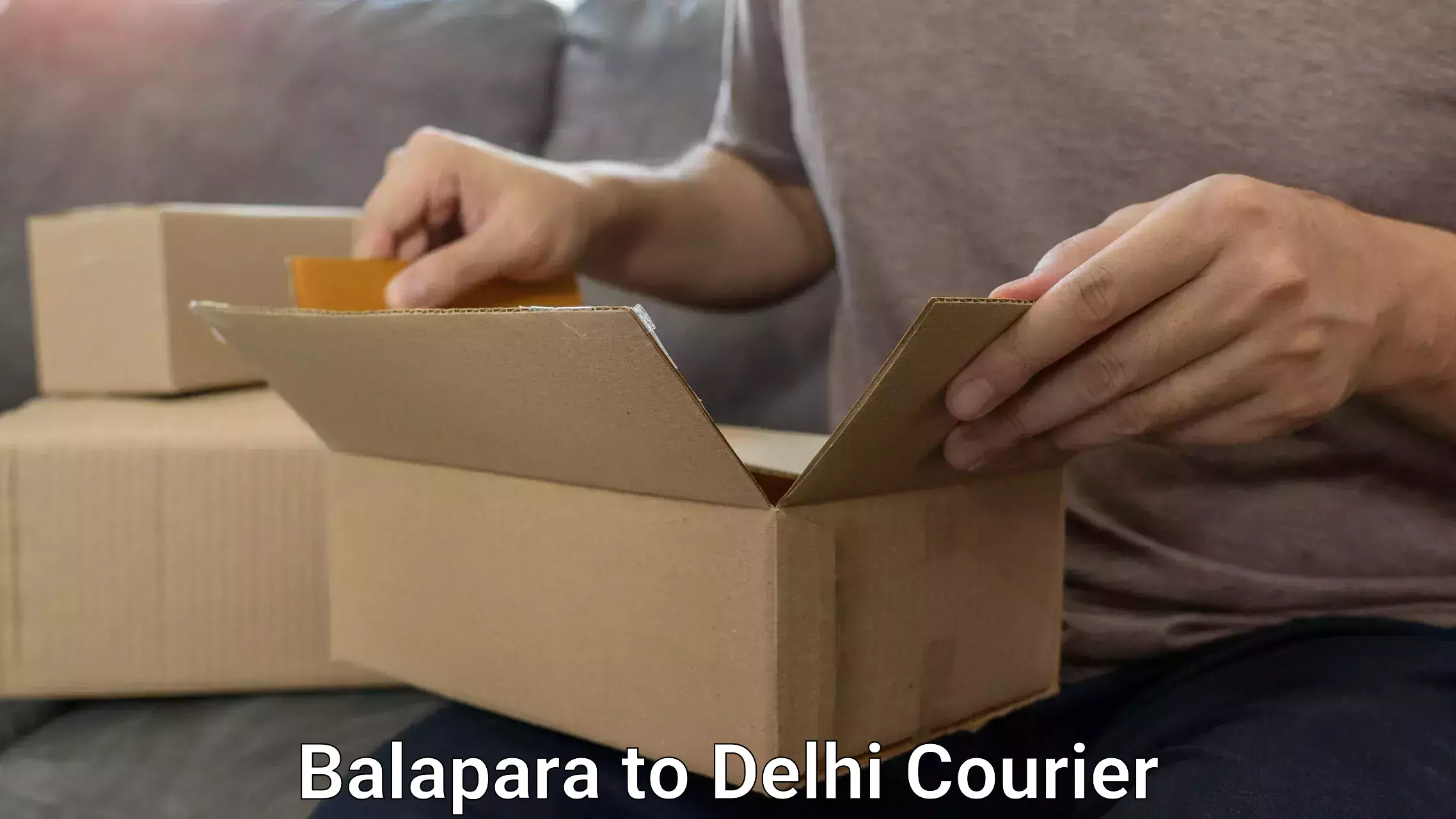 Efficient baggage courier system Balapara to Lodhi Road