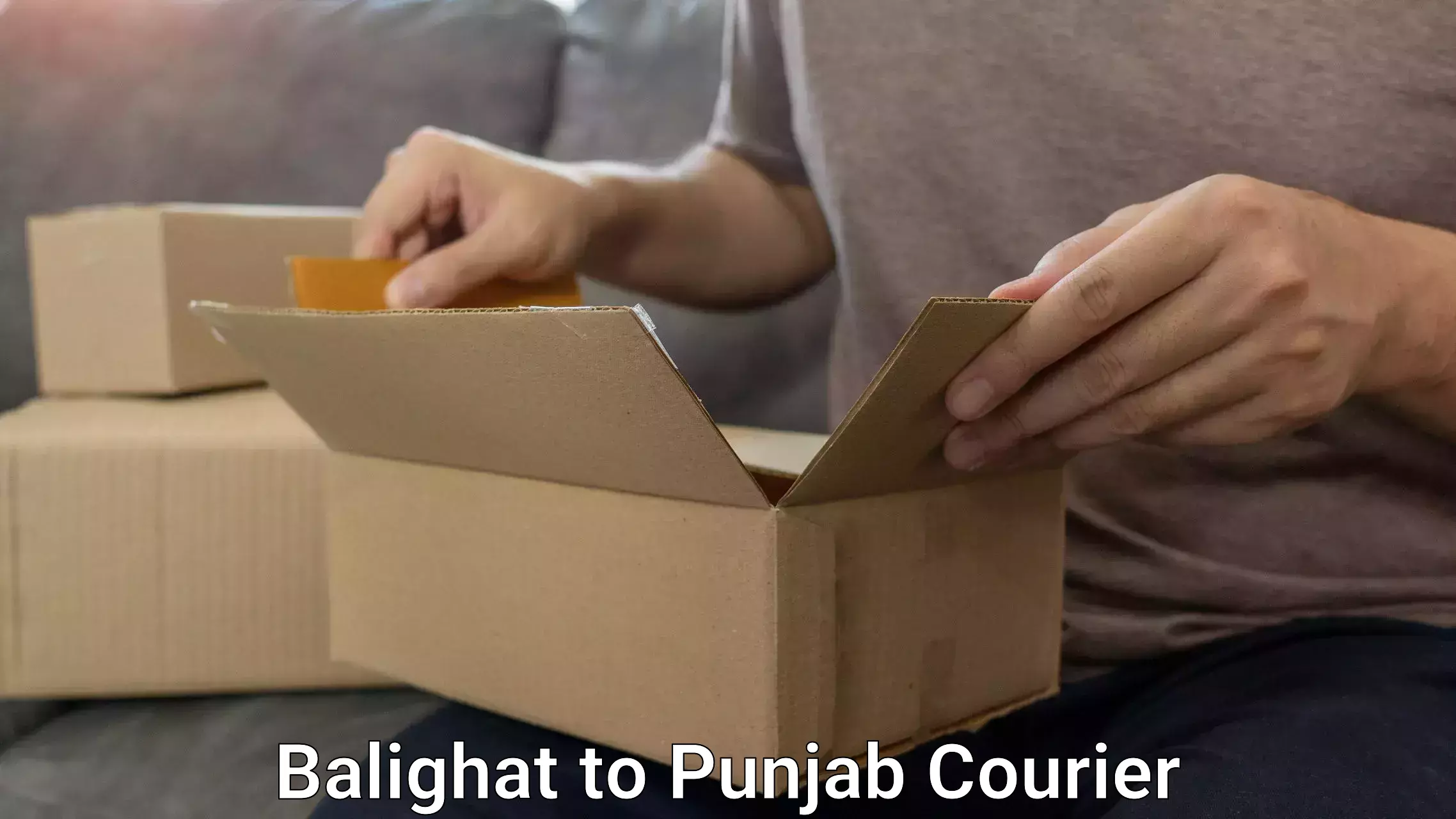 Luggage delivery rates Balighat to Punjab Agricultural University Ludhiana