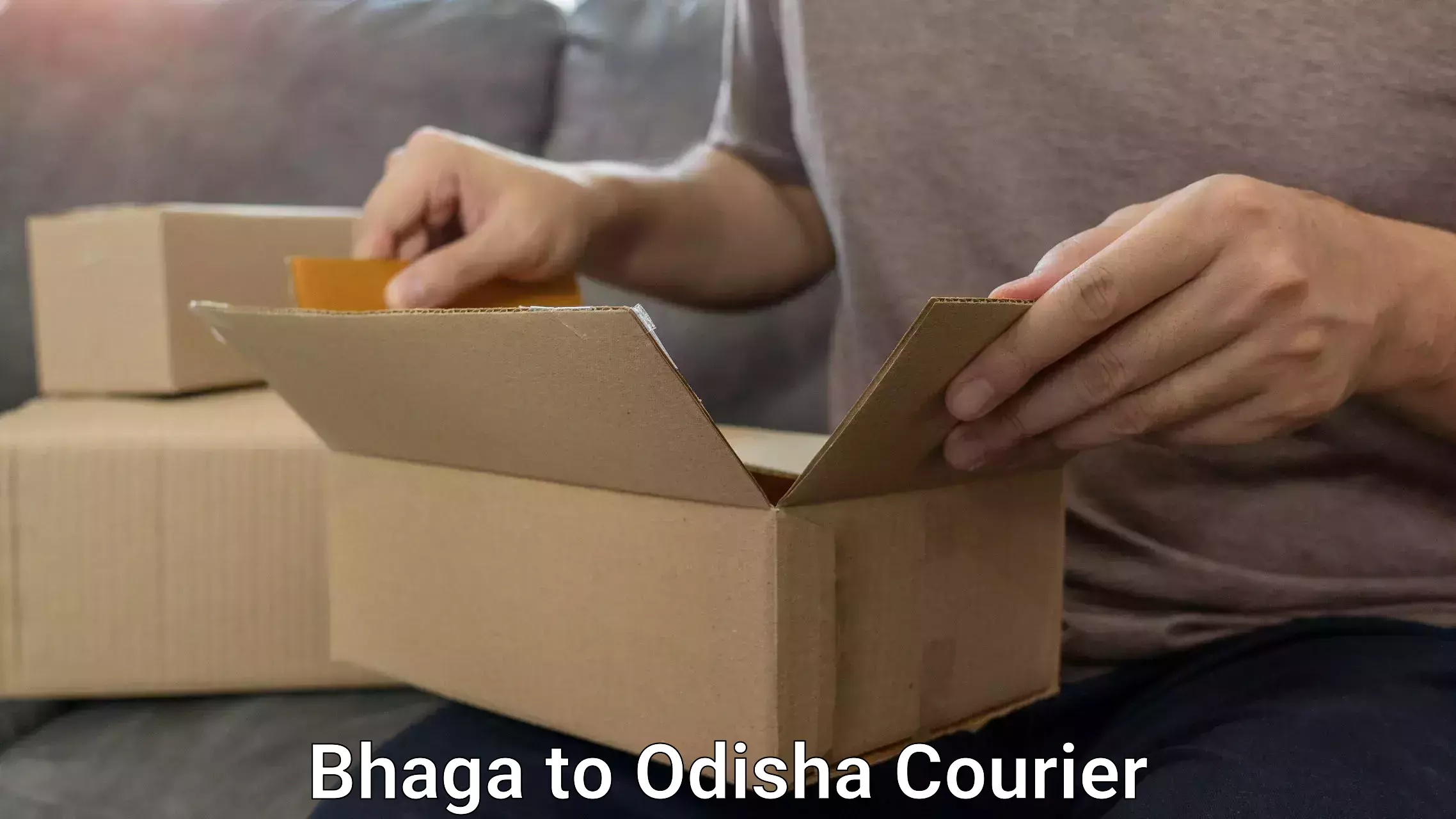 Baggage shipping schedule Bhaga to Binjharpur