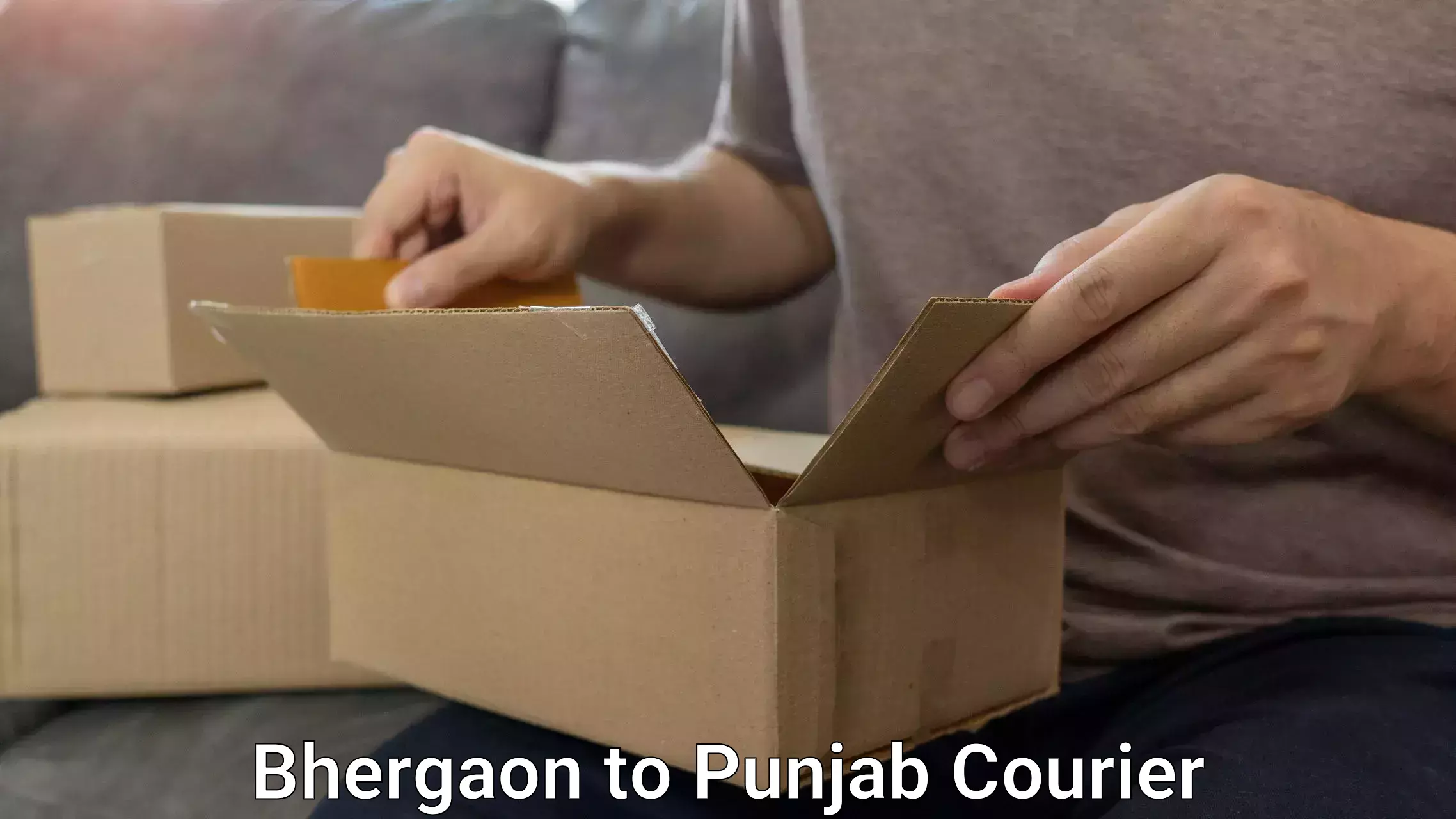 Luggage courier services Bhergaon to Central University of Punjab Bathinda