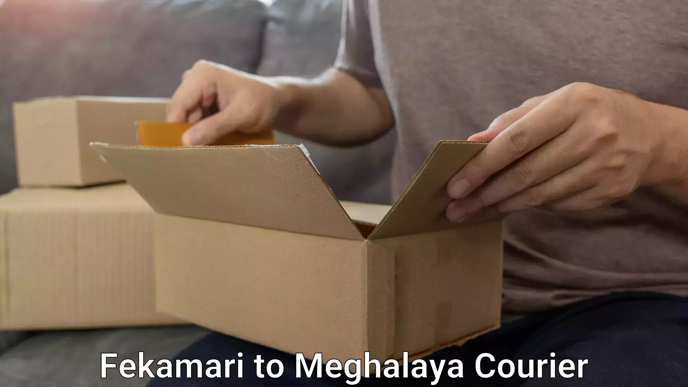 Baggage courier strategy Fekamari to Mairang