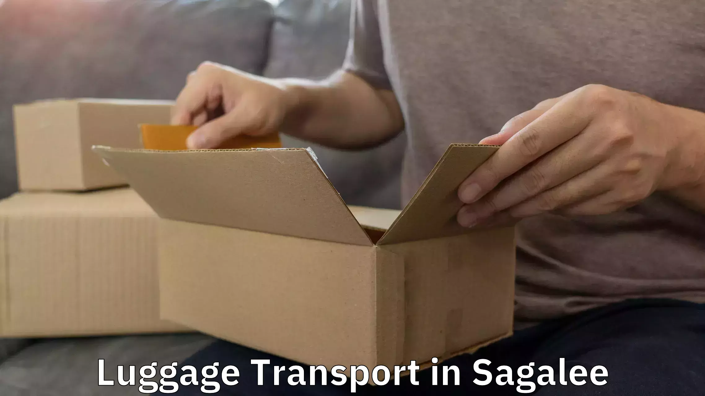 Luggage transport logistics in Sagalee