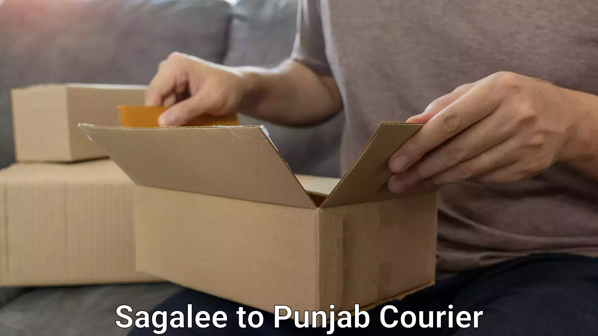 Baggage handling services Sagalee to Punjab Agricultural University Ludhiana