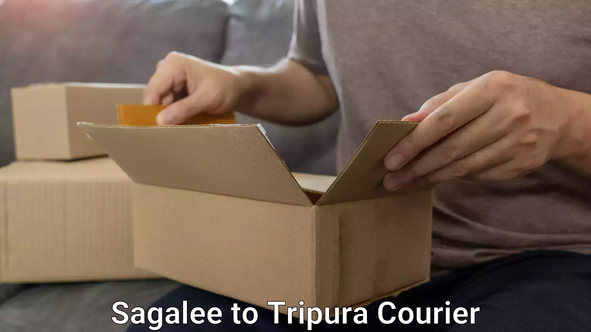 Baggage courier rates Sagalee to Udaipur Tripura