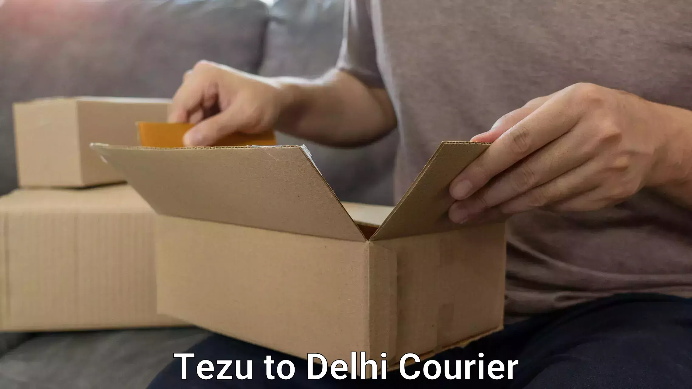 Luggage shipping consultation Tezu to Lodhi Road