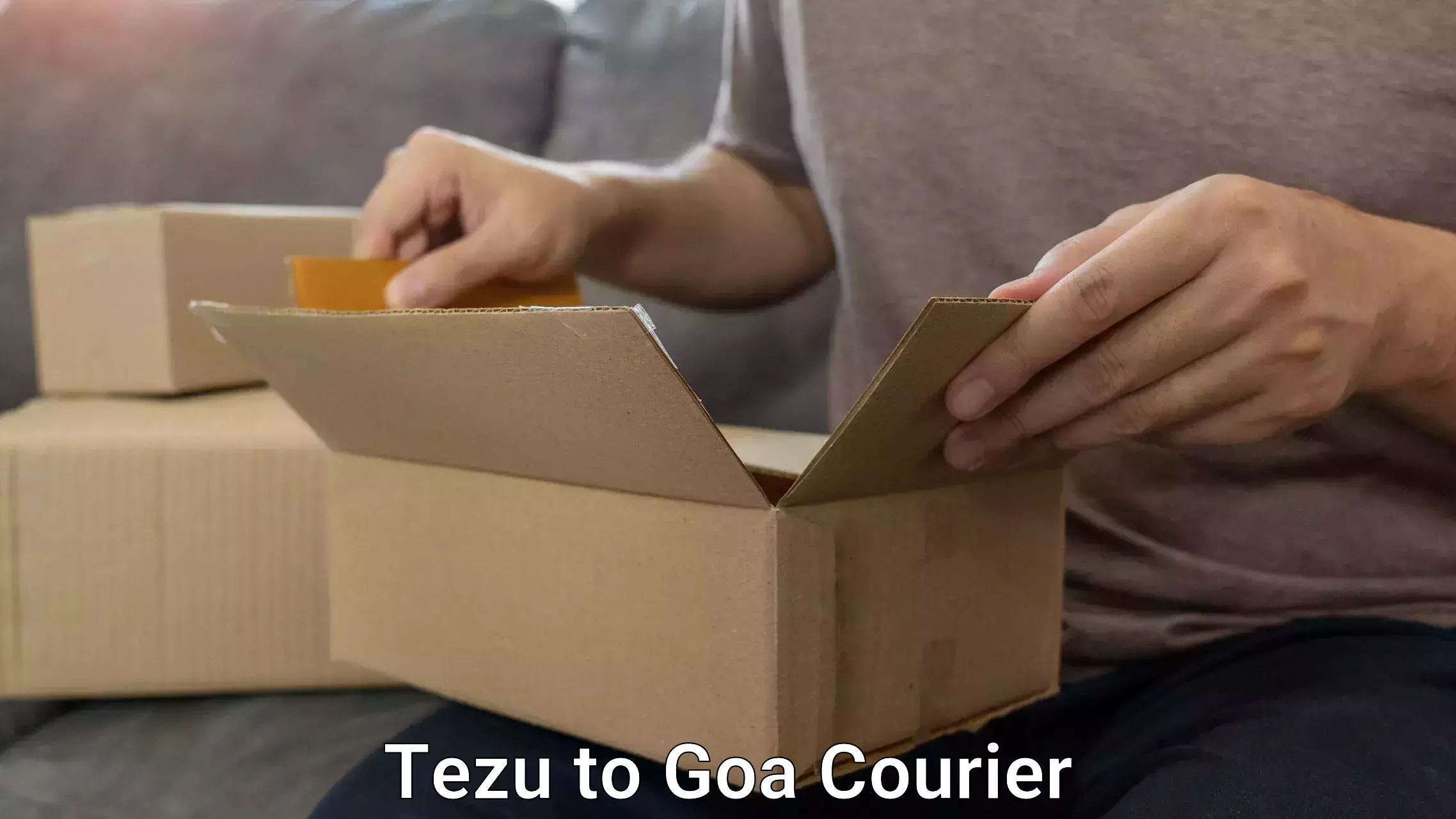 Single item baggage courier Tezu to Panaji