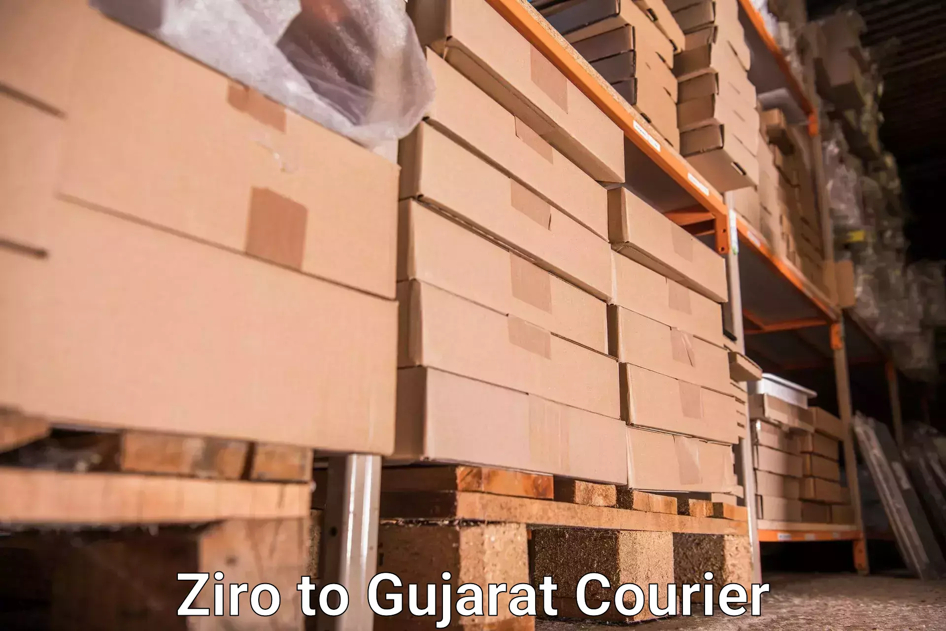 Expedited baggage courier Ziro to Kadodara