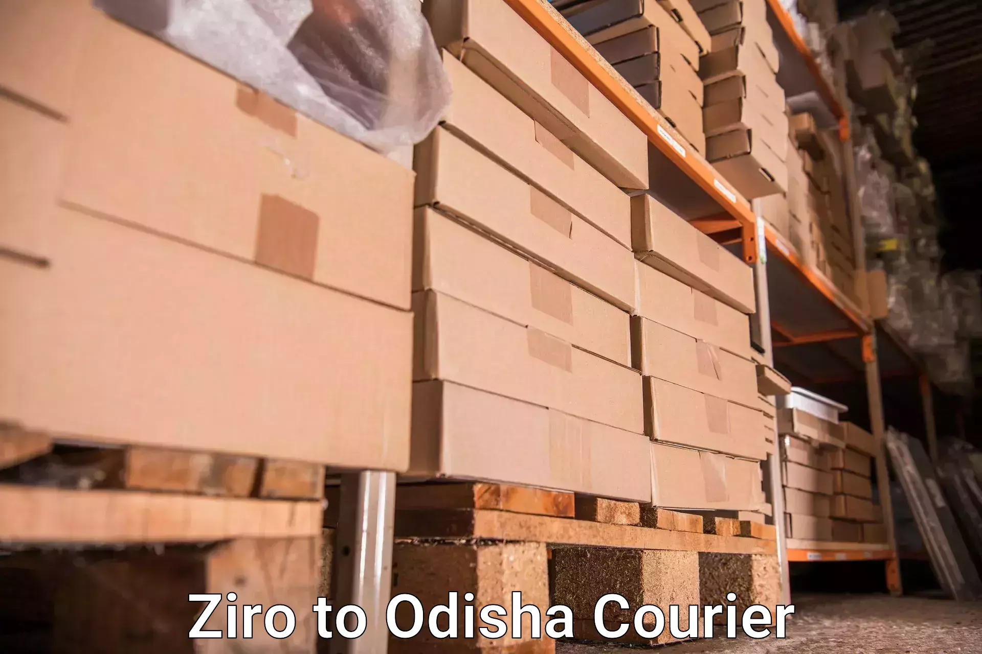 Hassle-free luggage shipping Ziro to Patkura