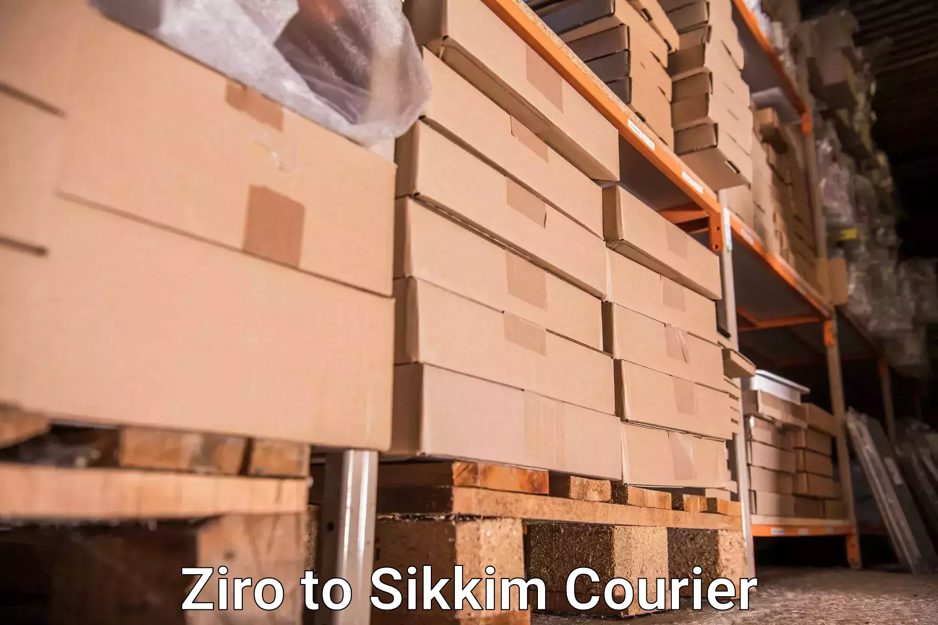 Luggage shipping estimate Ziro to South Sikkim