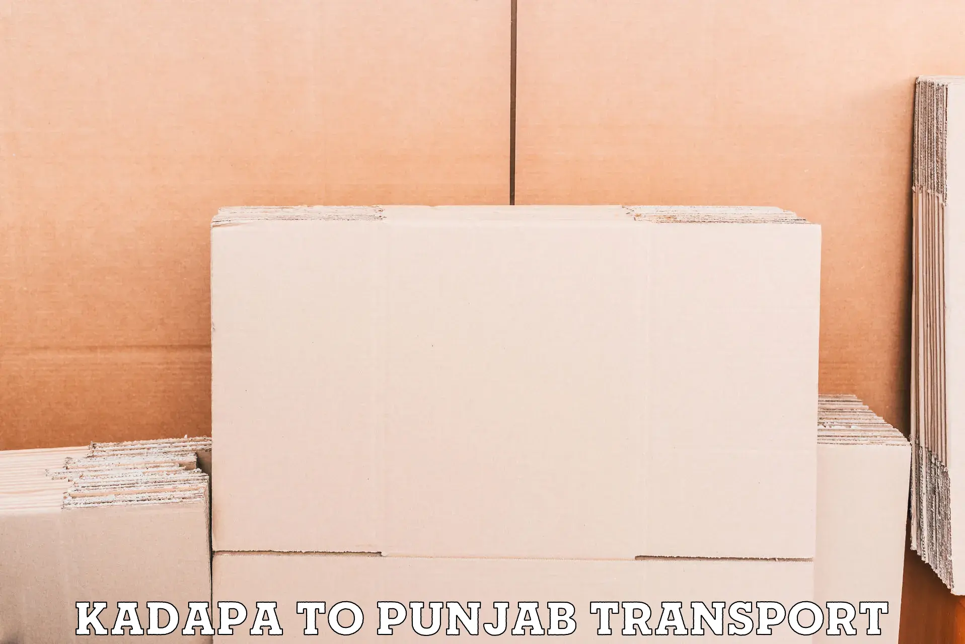 Shipping partner Kadapa to Amritsar