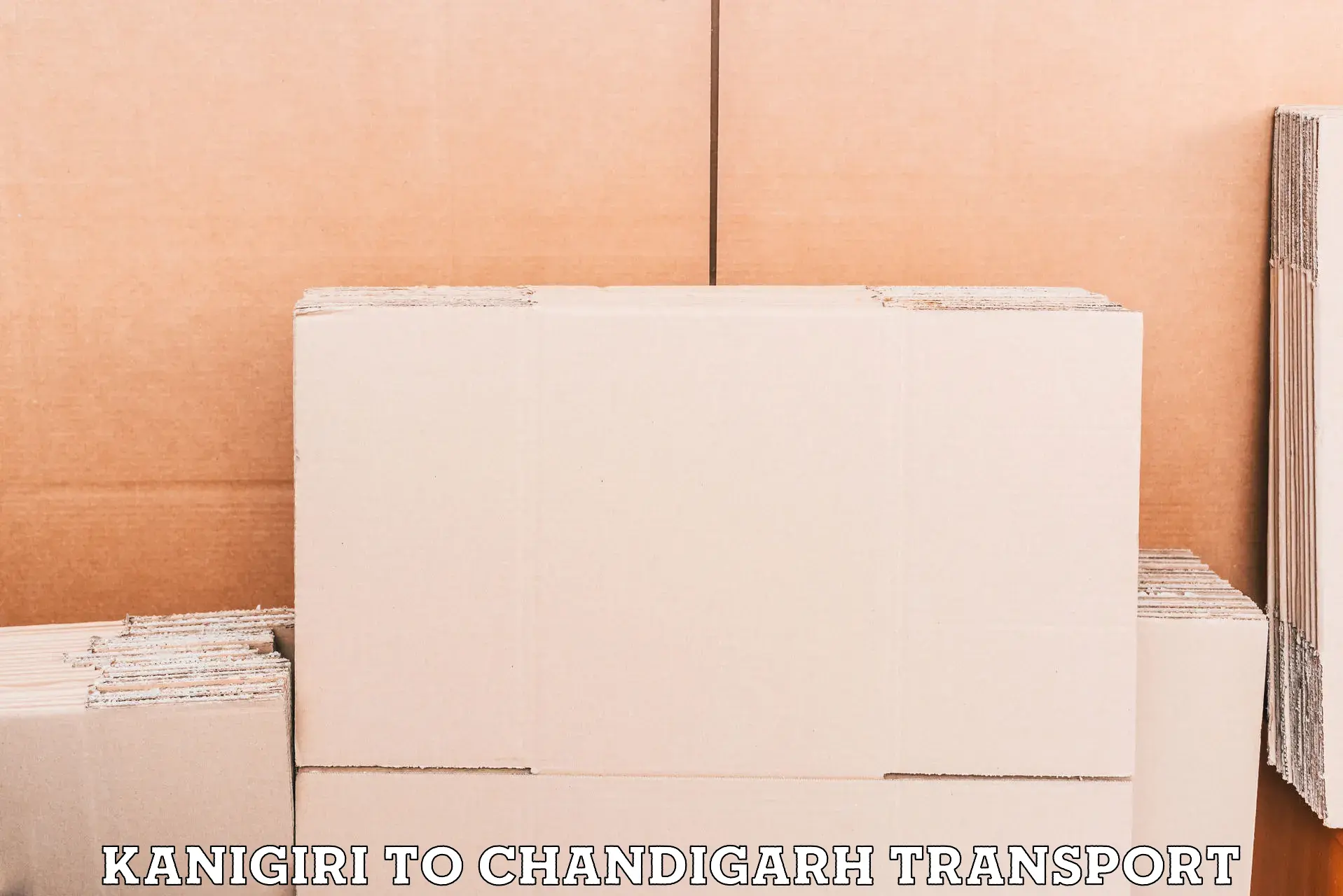 Container transport service Kanigiri to Panjab University Chandigarh