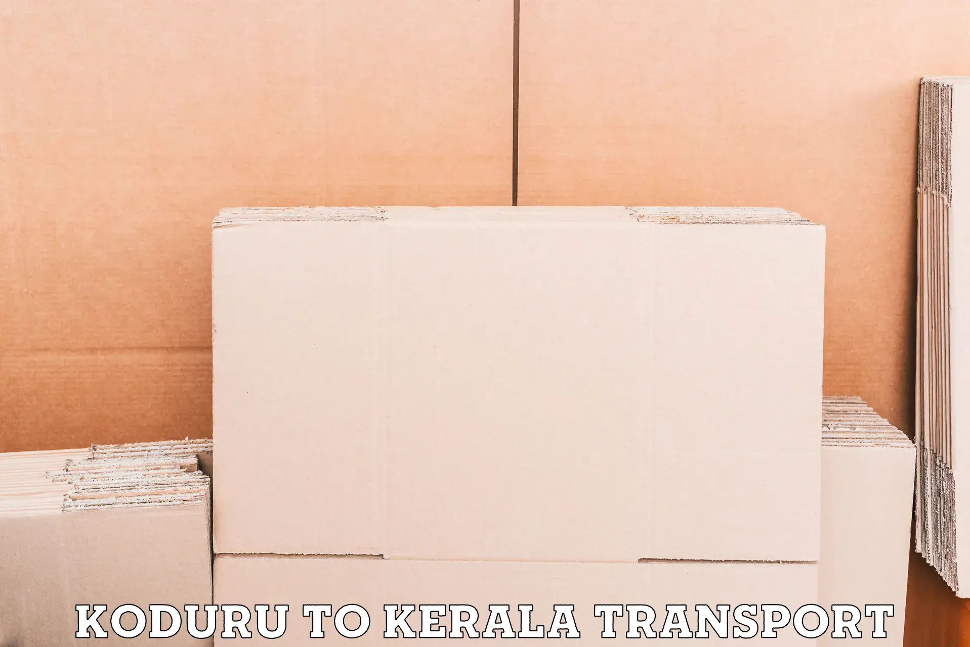 Air freight transport services in Koduru to Sultan Bathery