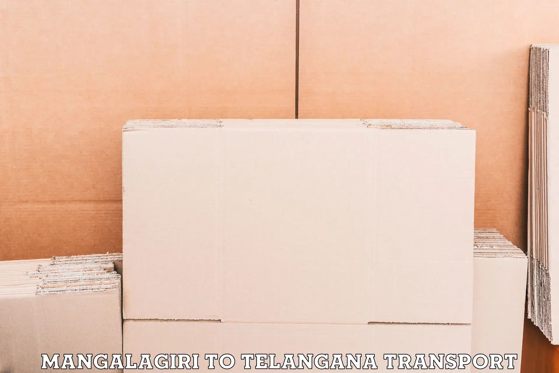 International cargo transportation services Mangalagiri to Tallada