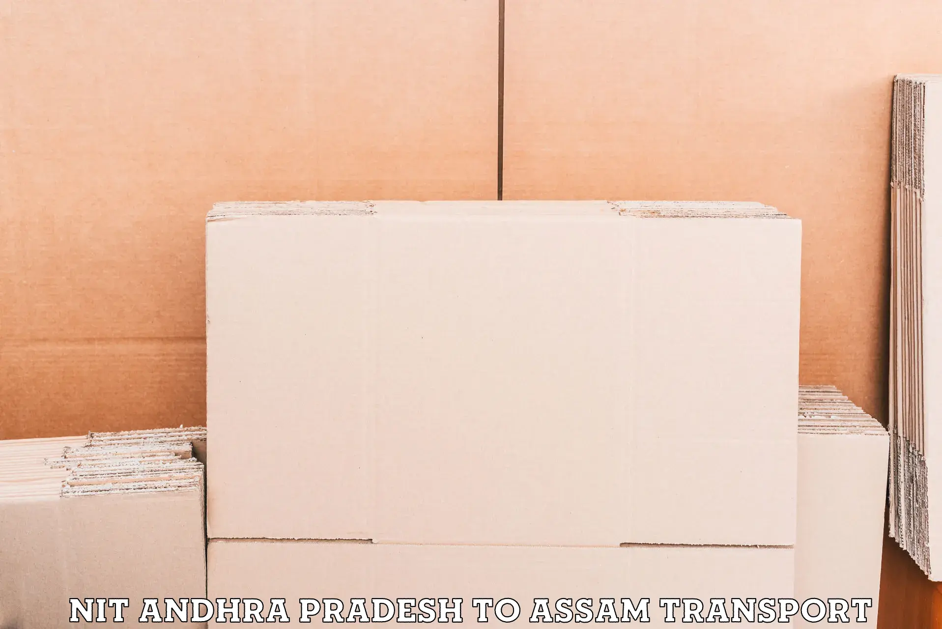 Package delivery services NIT Andhra Pradesh to Hajo