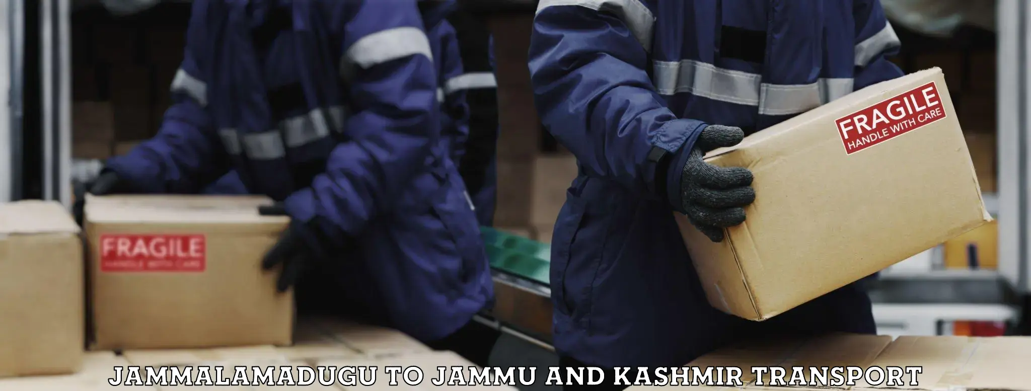 Cargo transportation services Jammalamadugu to Jammu and Kashmir