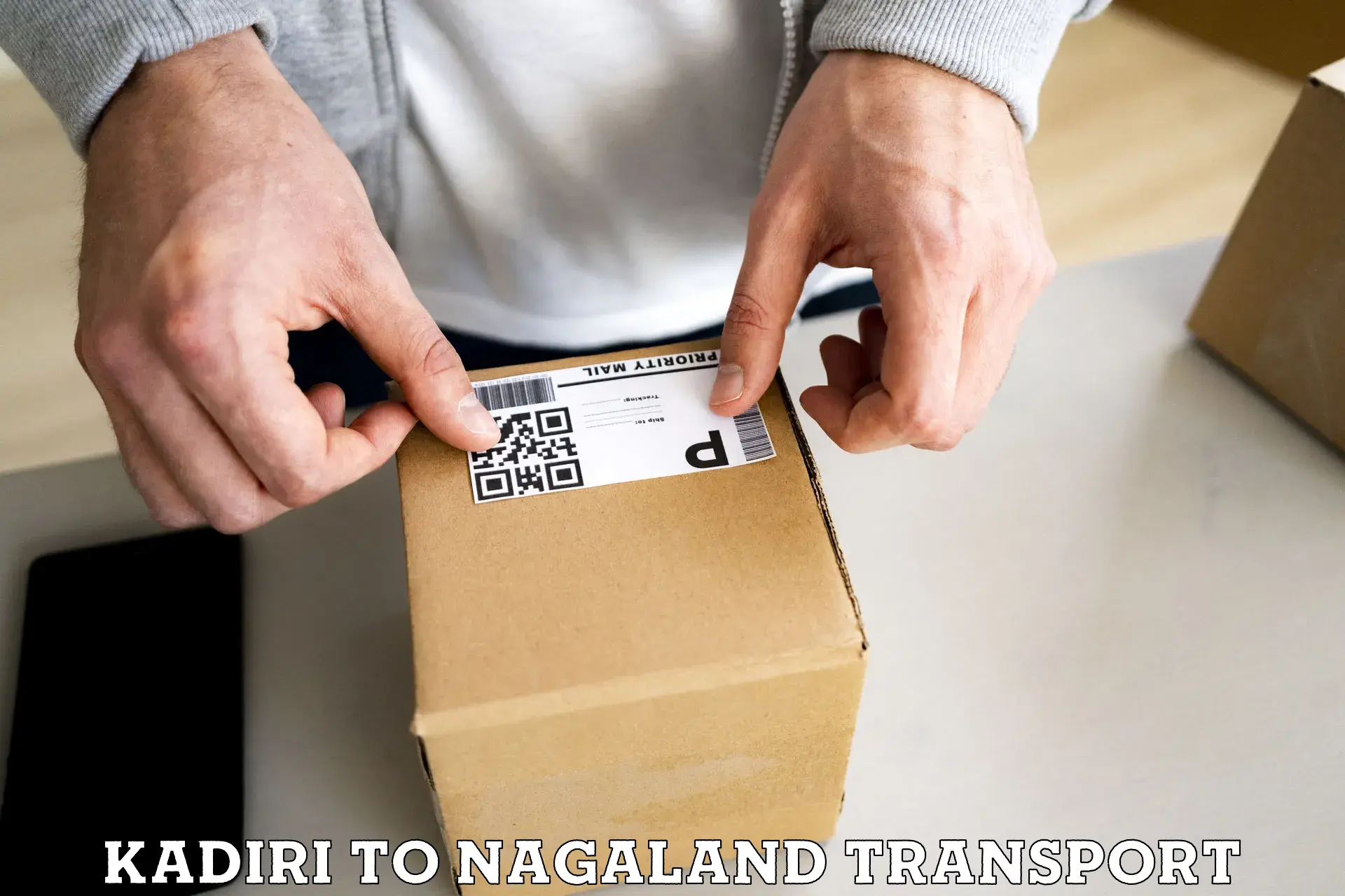 Delivery service in Kadiri to Nagaland