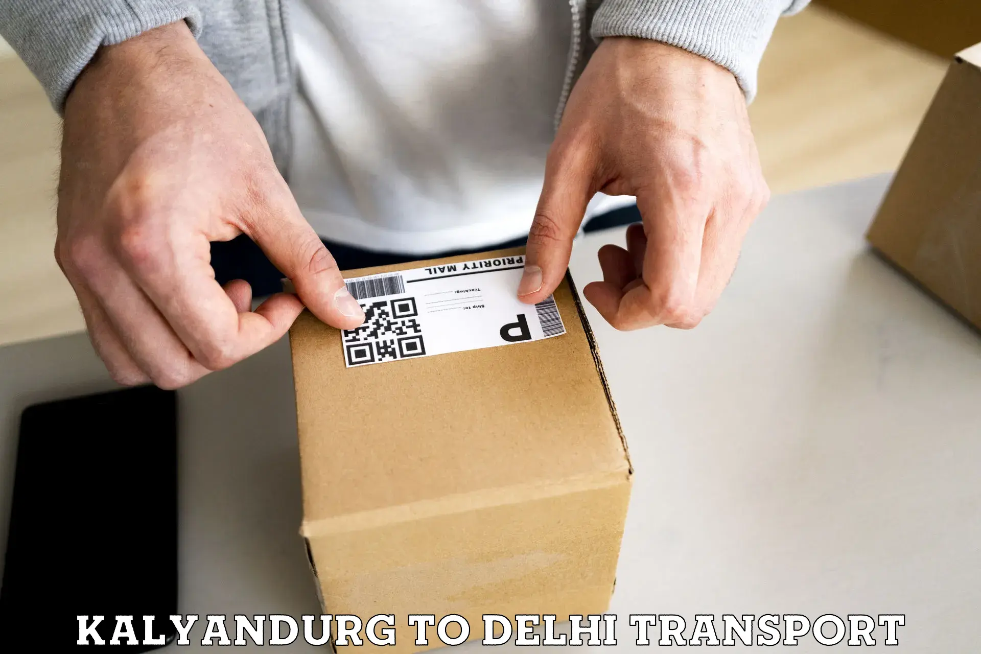 Transport in sharing Kalyandurg to Delhi