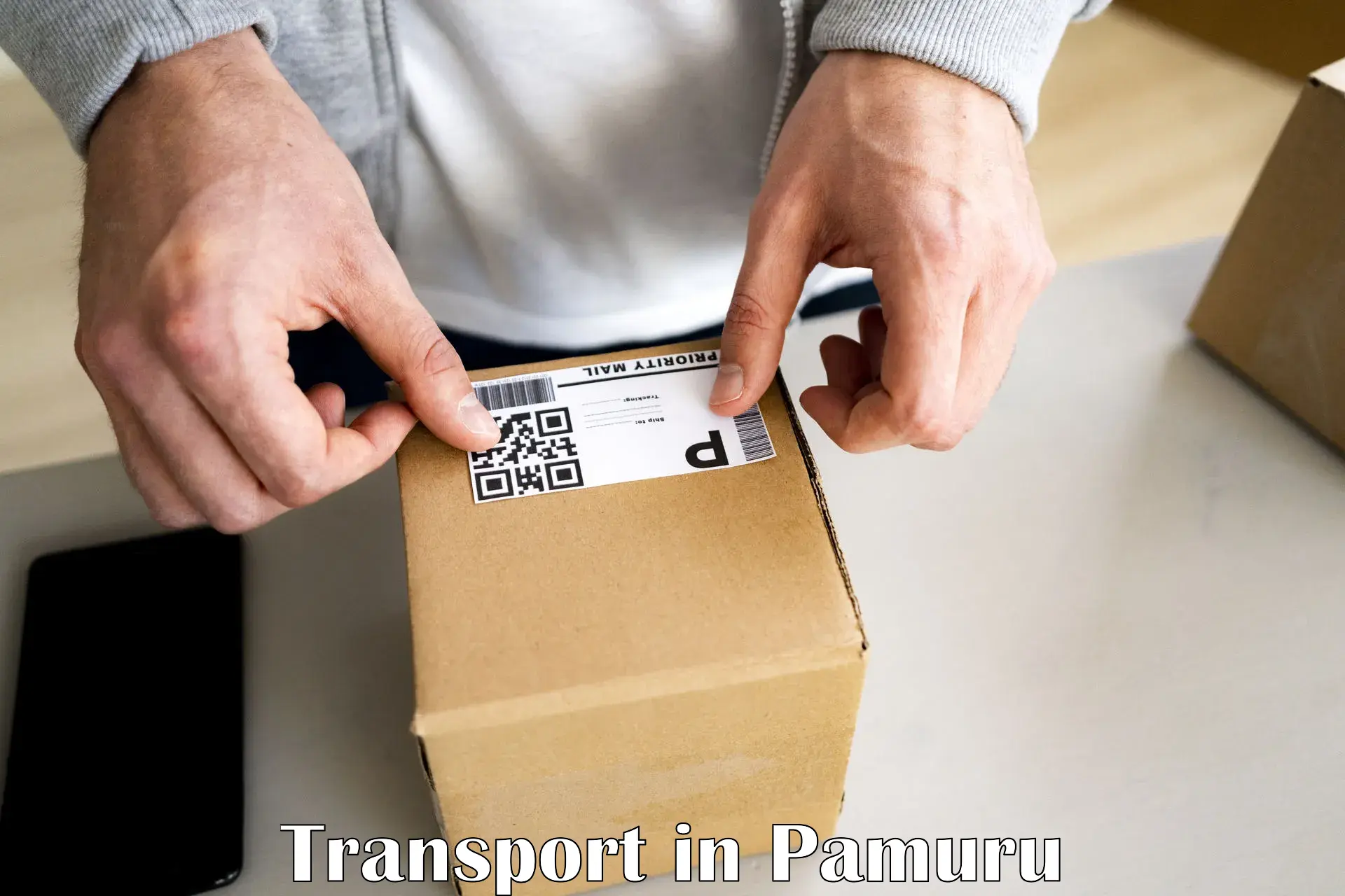 All India transport service in Pamuru