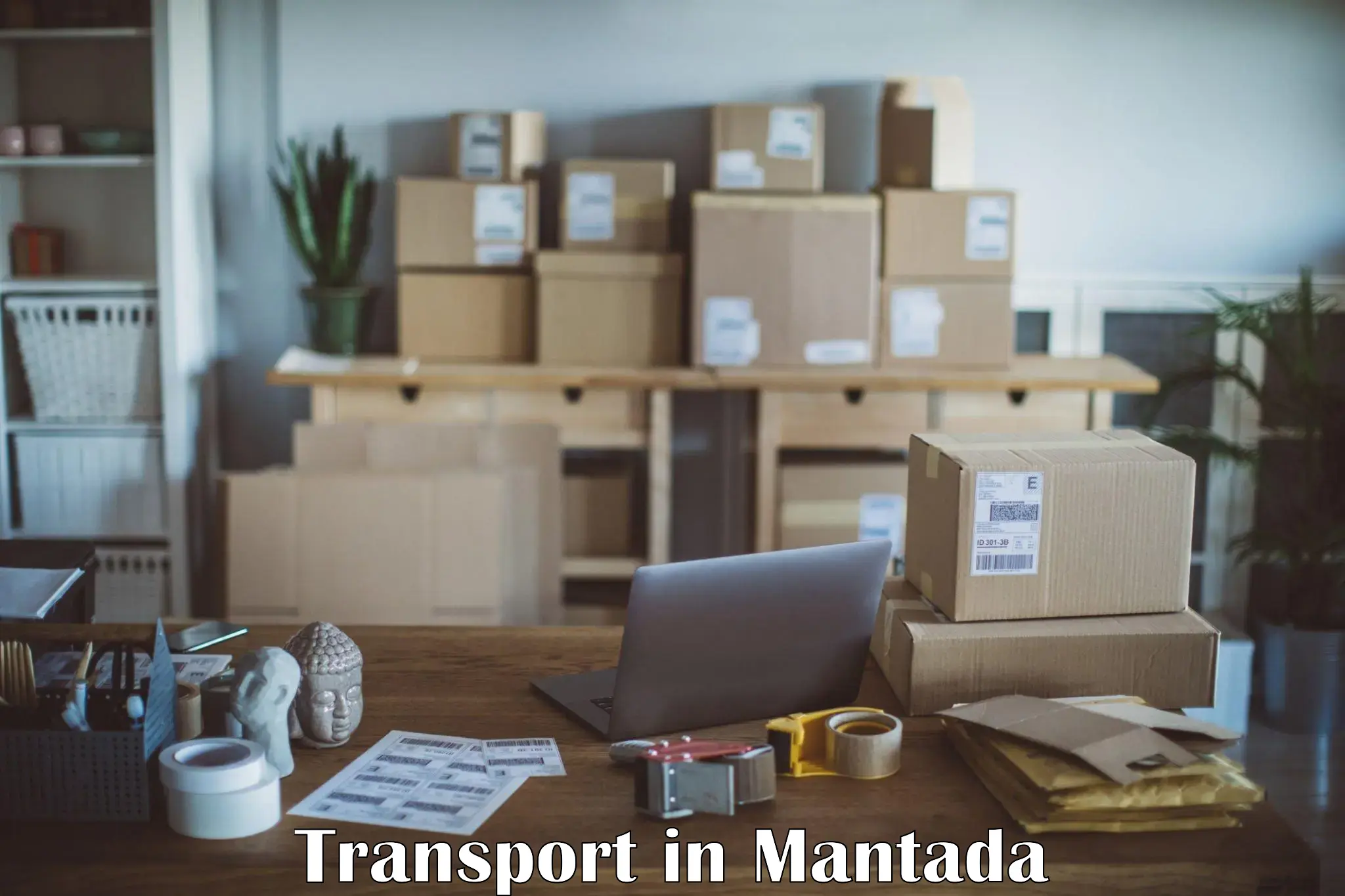 Cargo transport services in Mantada