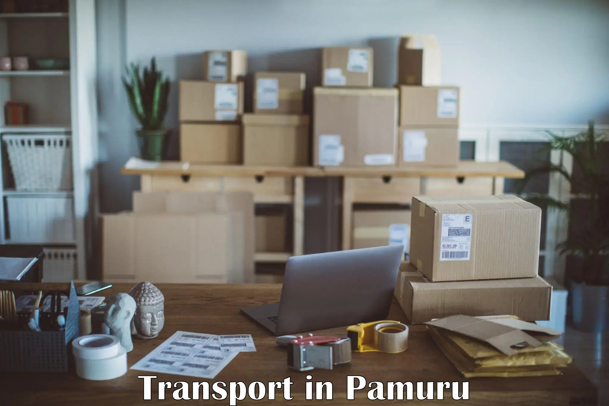 Commercial transport service in Pamuru