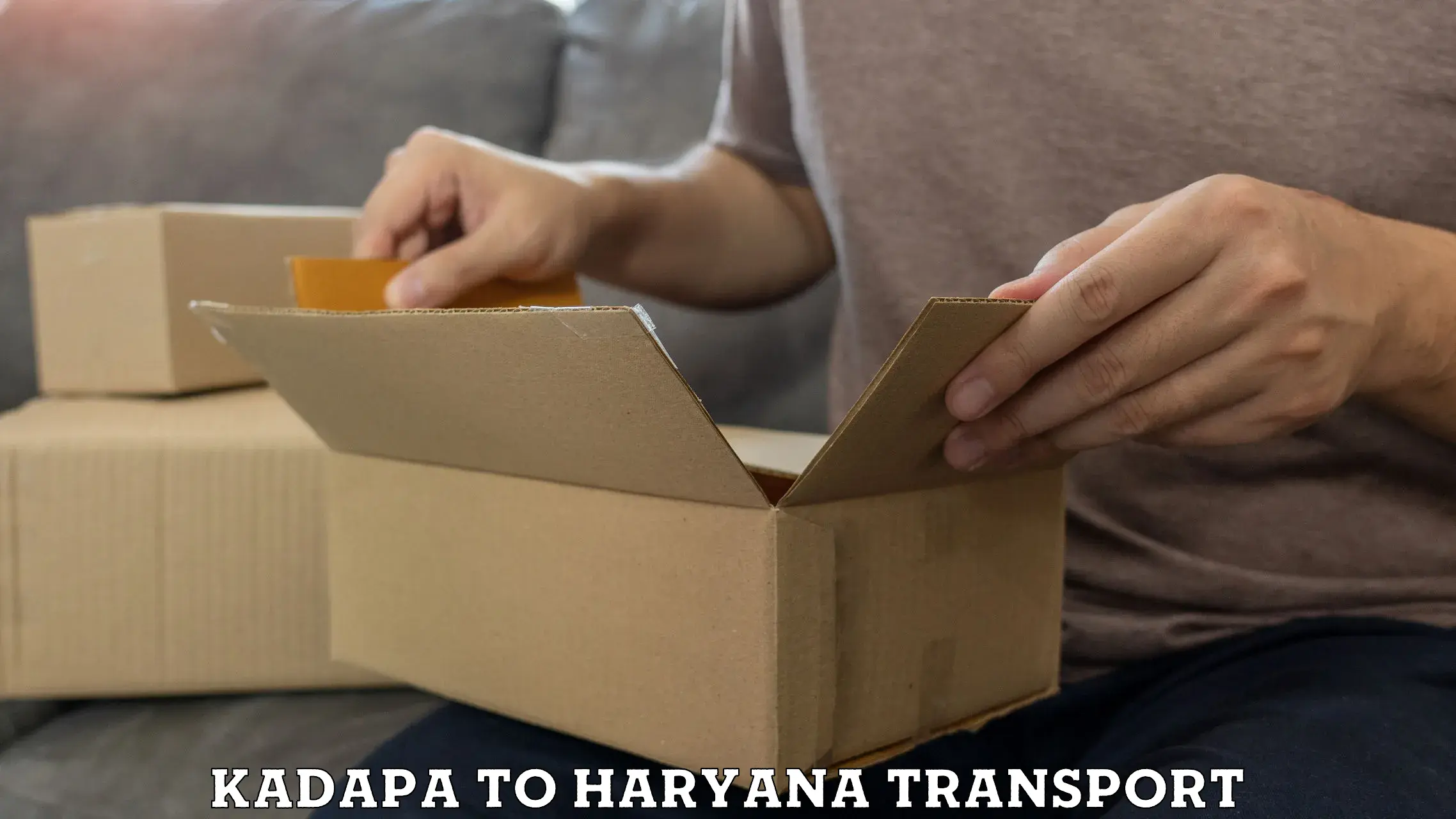 Delivery service Kadapa to Haryana