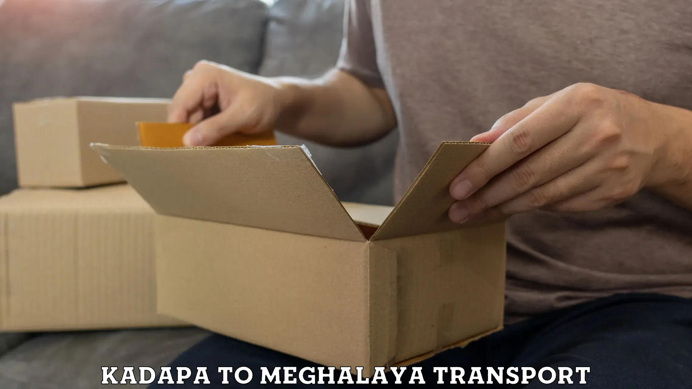 Parcel transport services in Kadapa to NIT Meghalaya