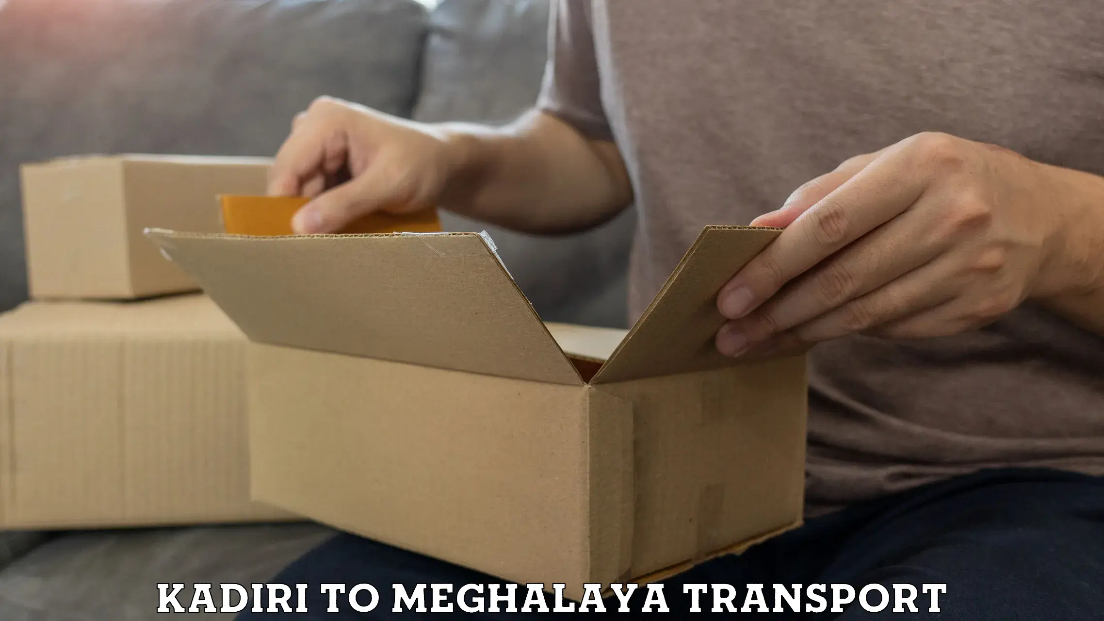 International cargo transportation services Kadiri to Meghalaya