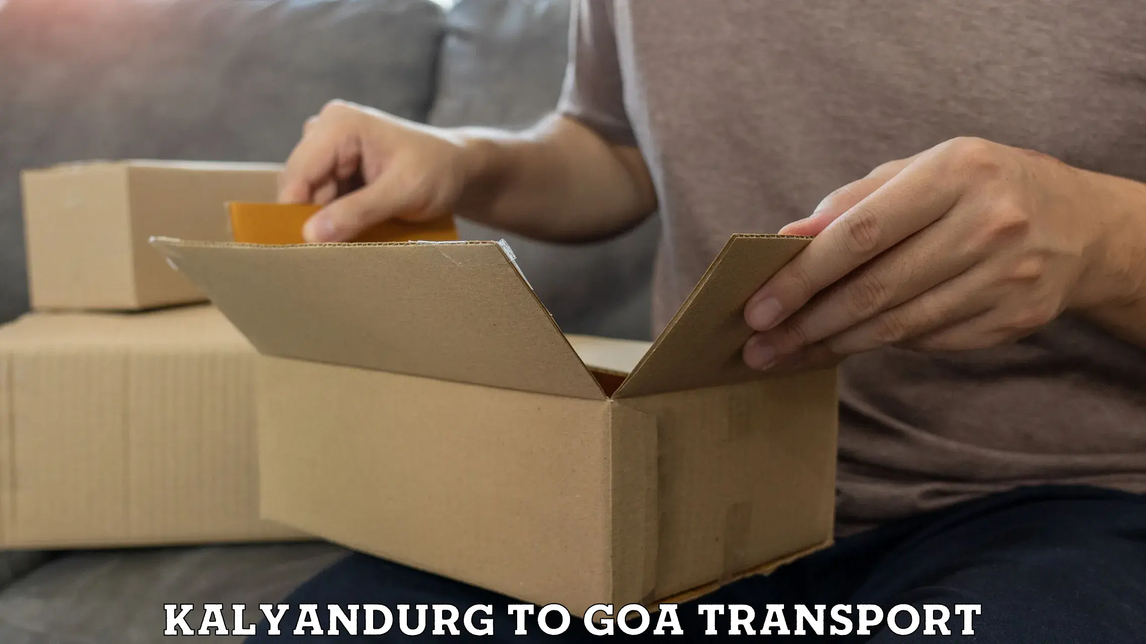 Scooty transport charges in Kalyandurg to Ponda