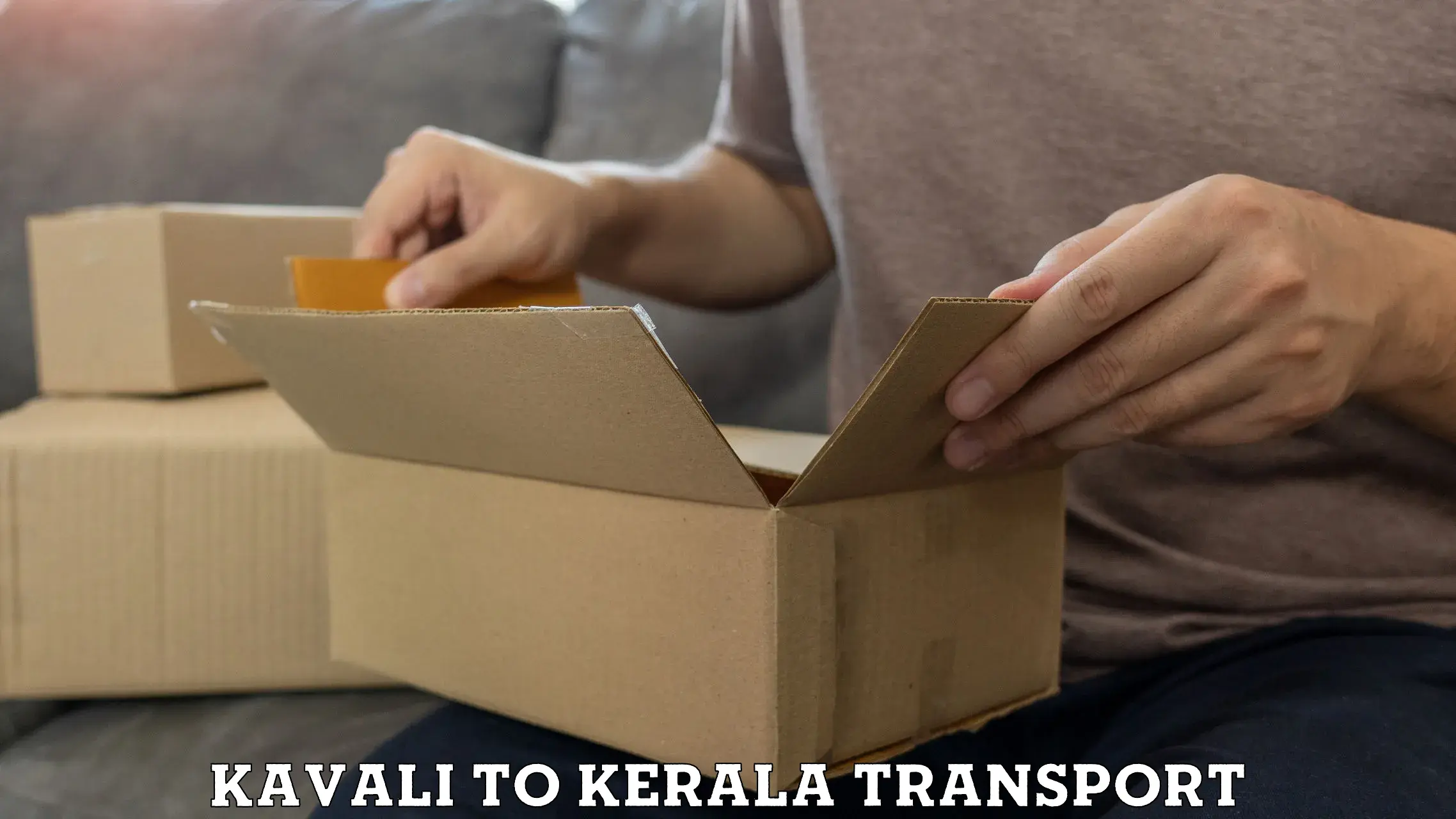 Domestic goods transportation services Kavali to Parappa