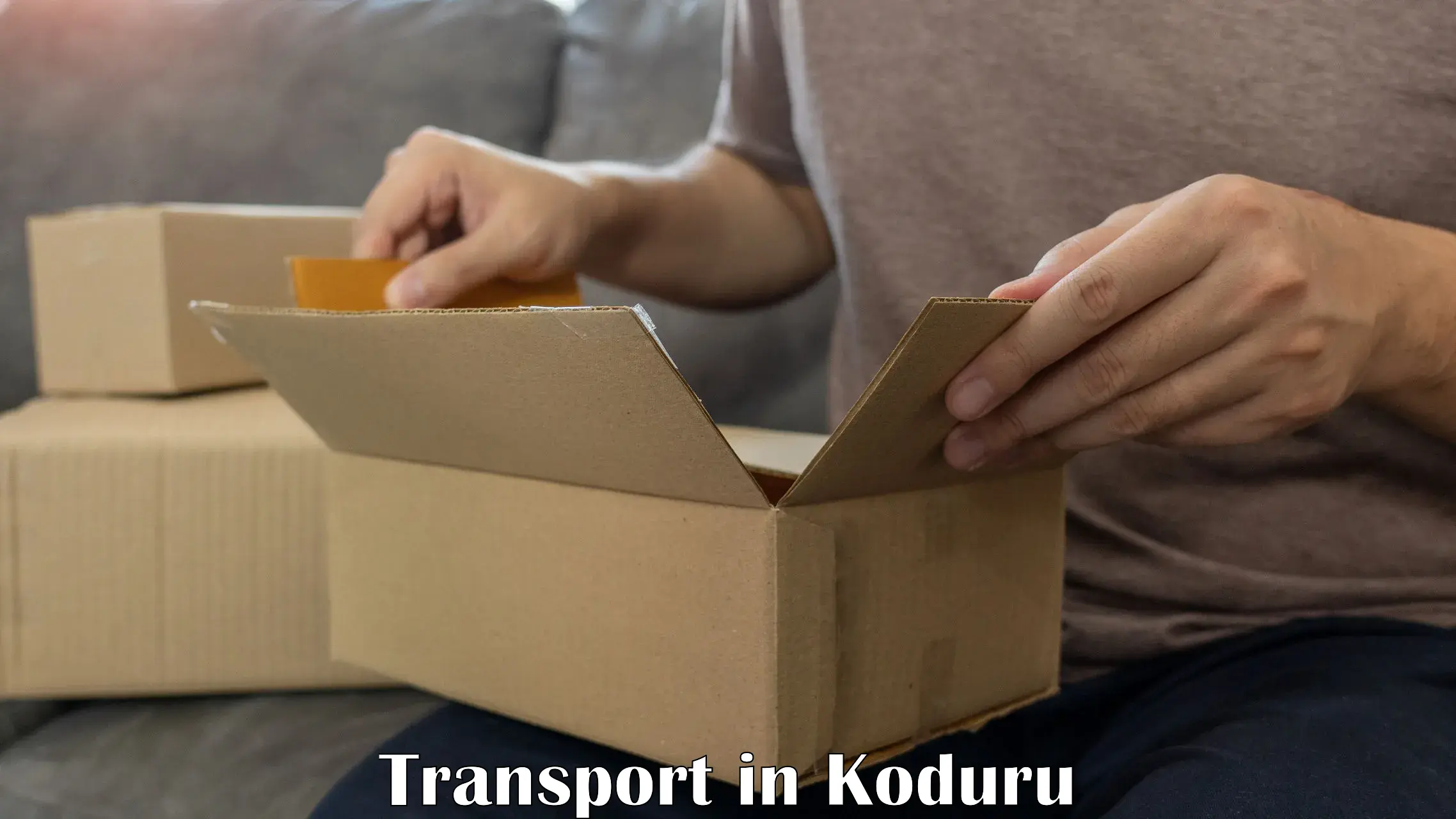 Package delivery services in Koduru