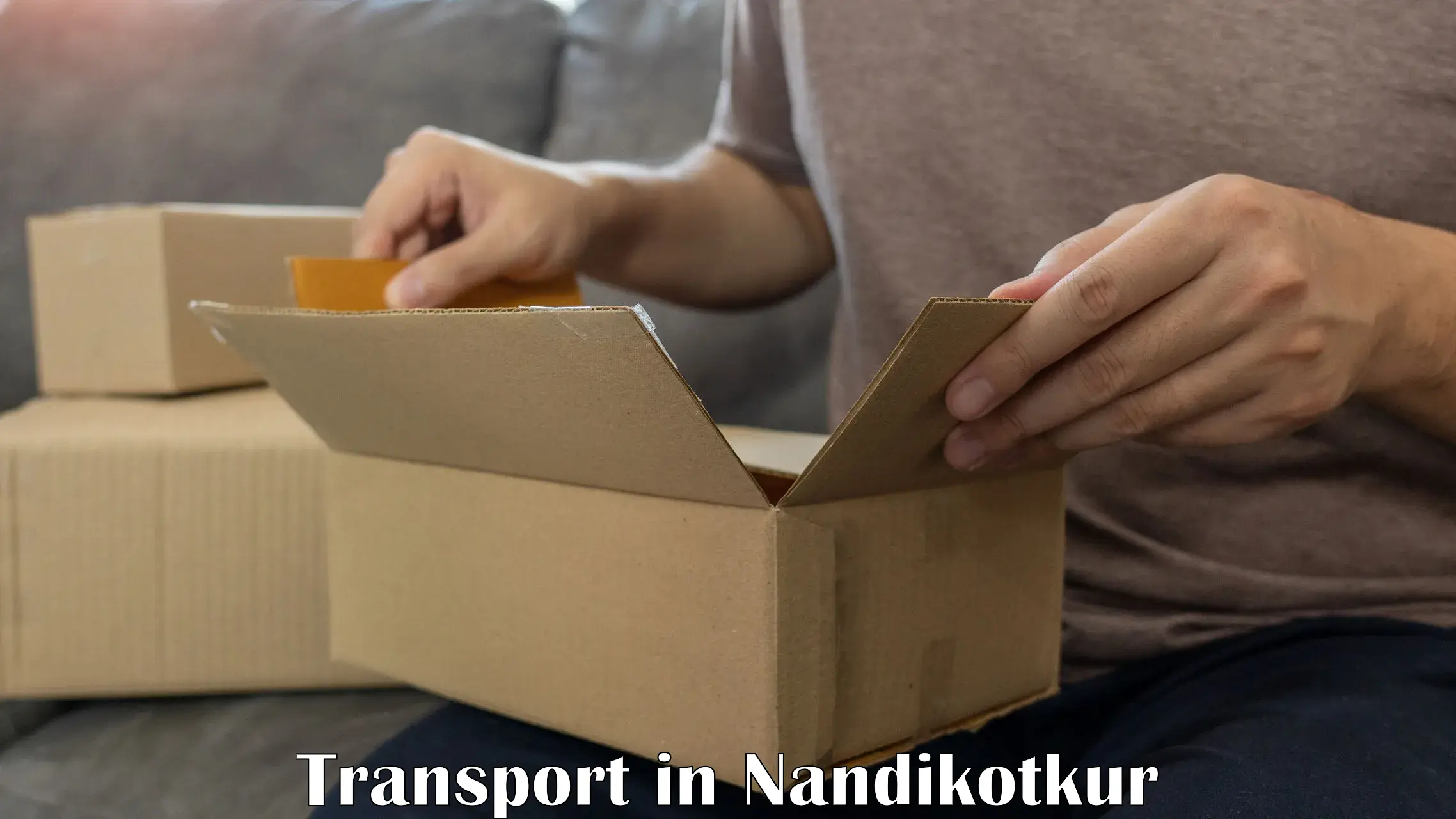 Air cargo transport services in Nandikotkur