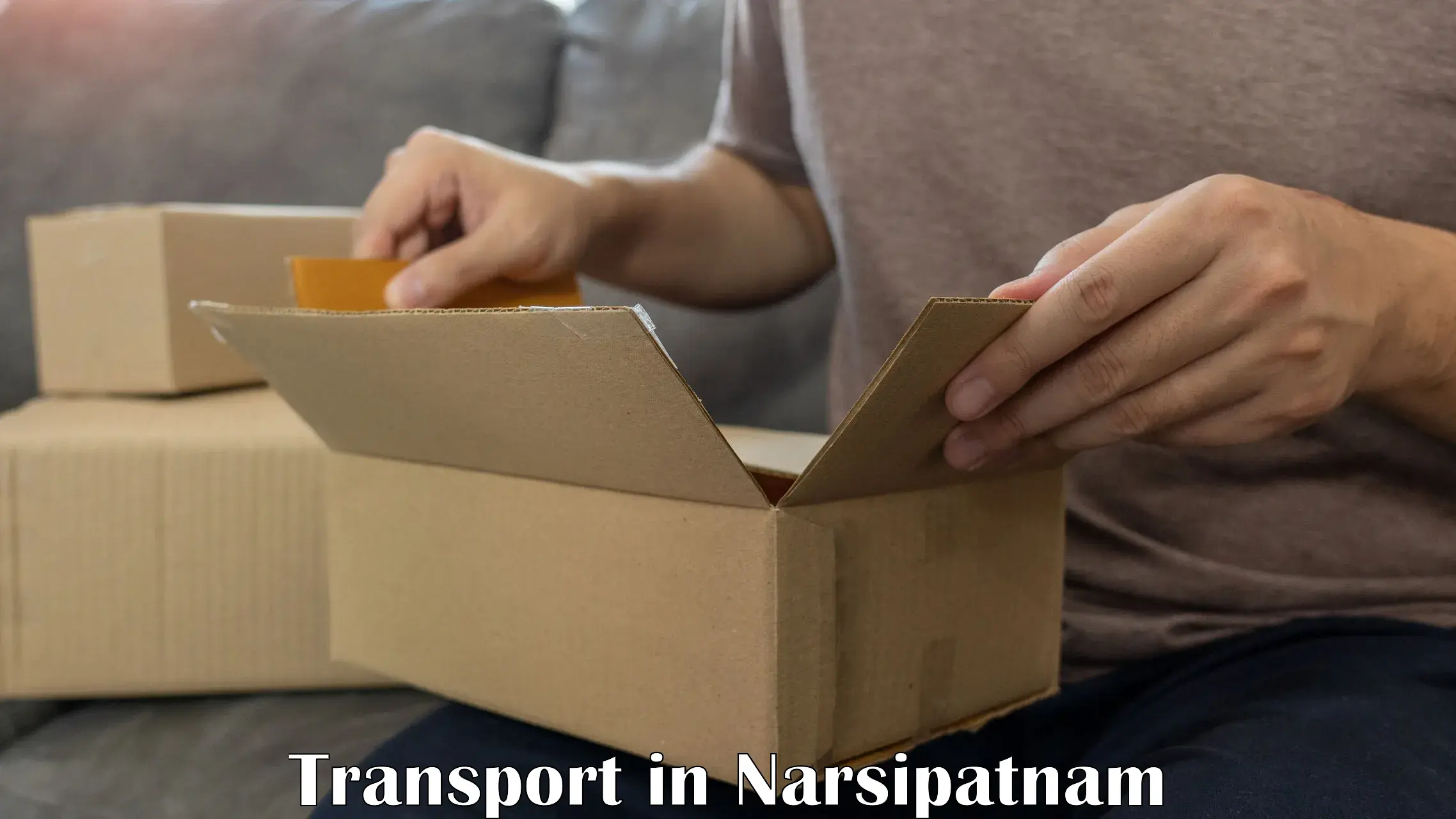 Domestic goods transportation services in Narsipatnam