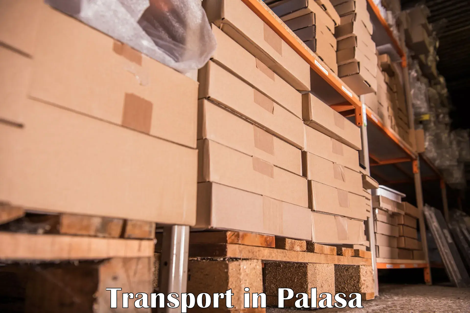 Cargo transport services in Palasa